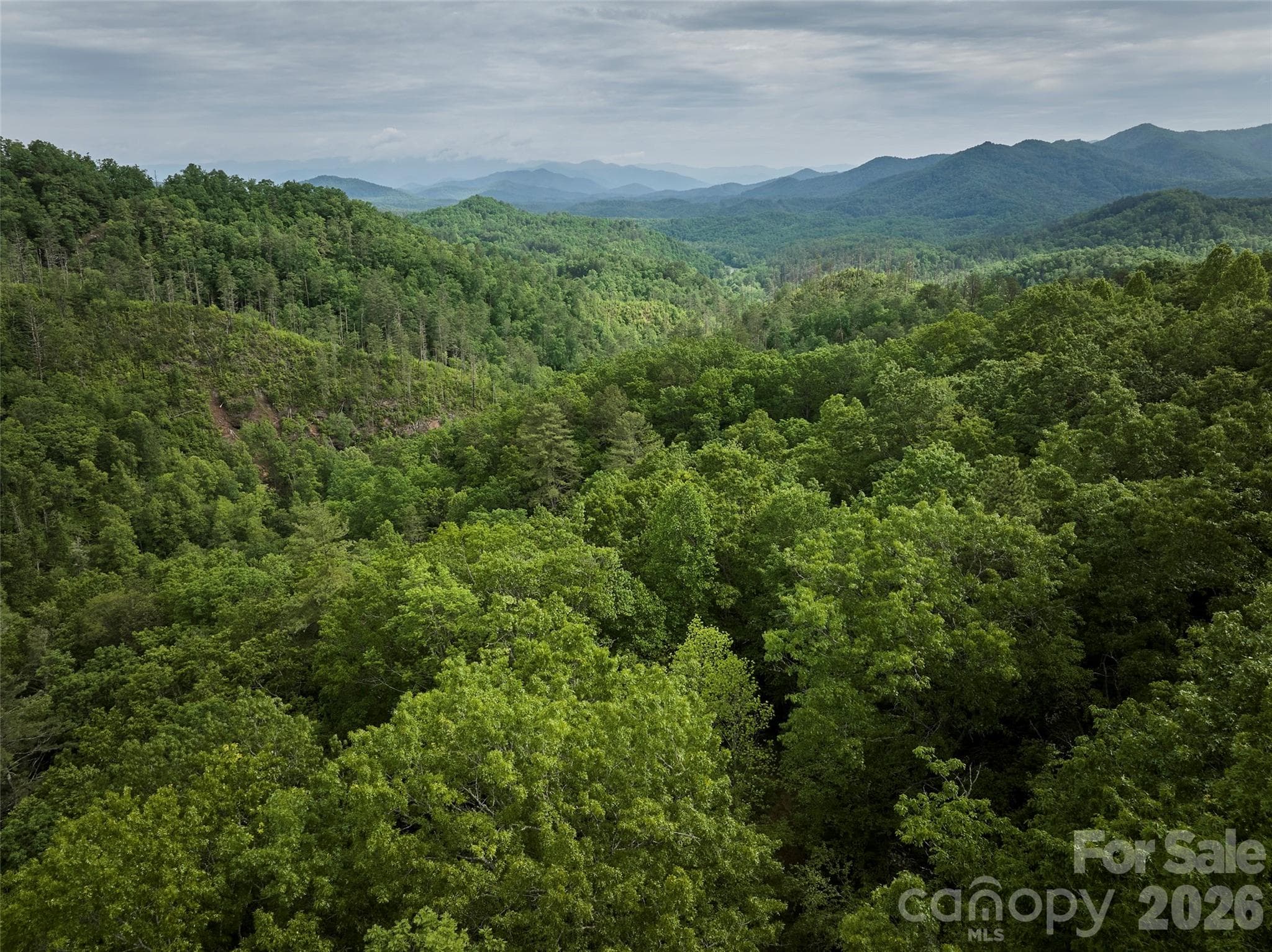 Acreage at 0 Holly House Road, Bryson City, photo 19 of 20