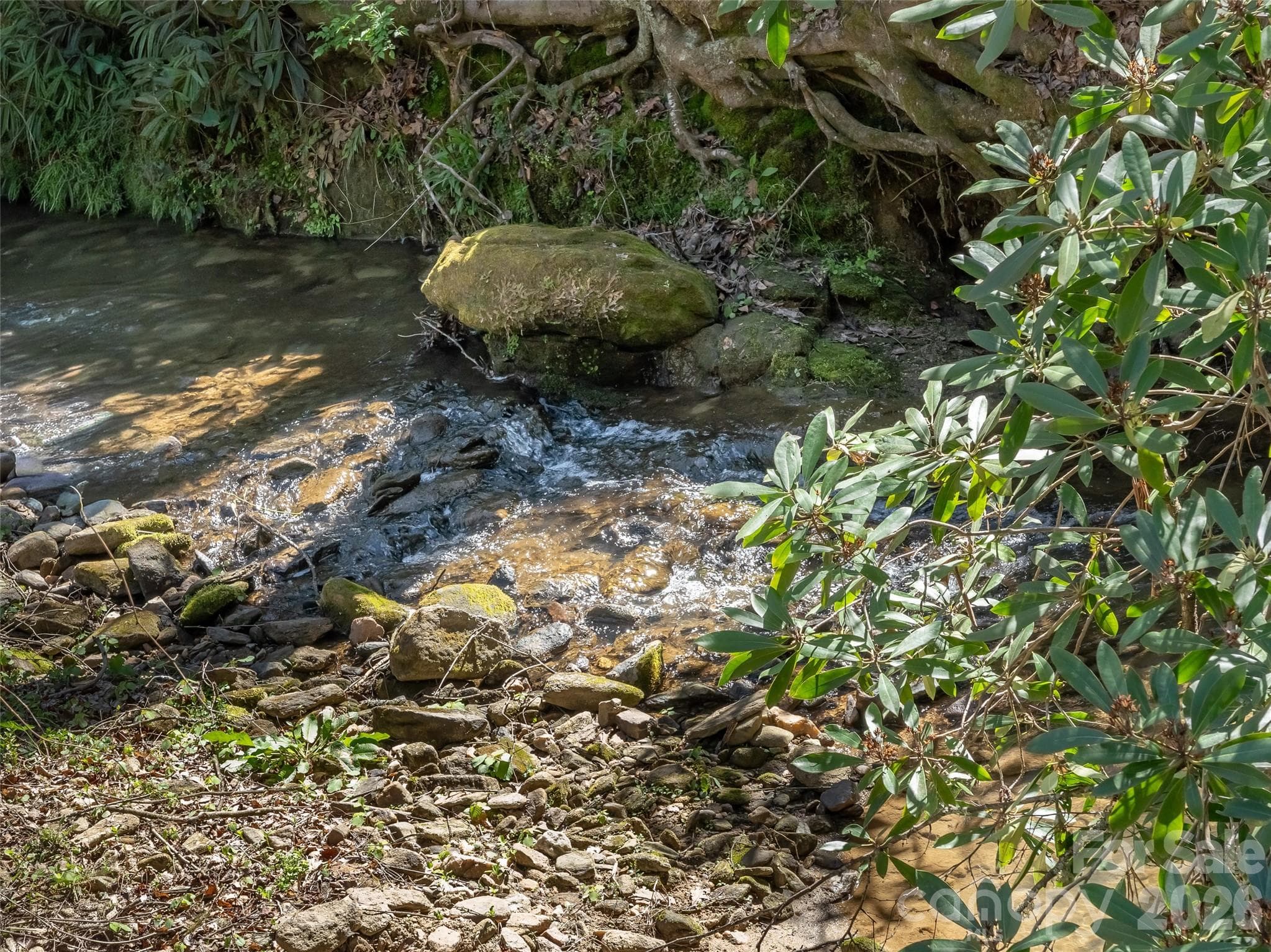 Creek runs throughout much of the 2+ acres - 40 Morning Dove Lane, Flat Rock