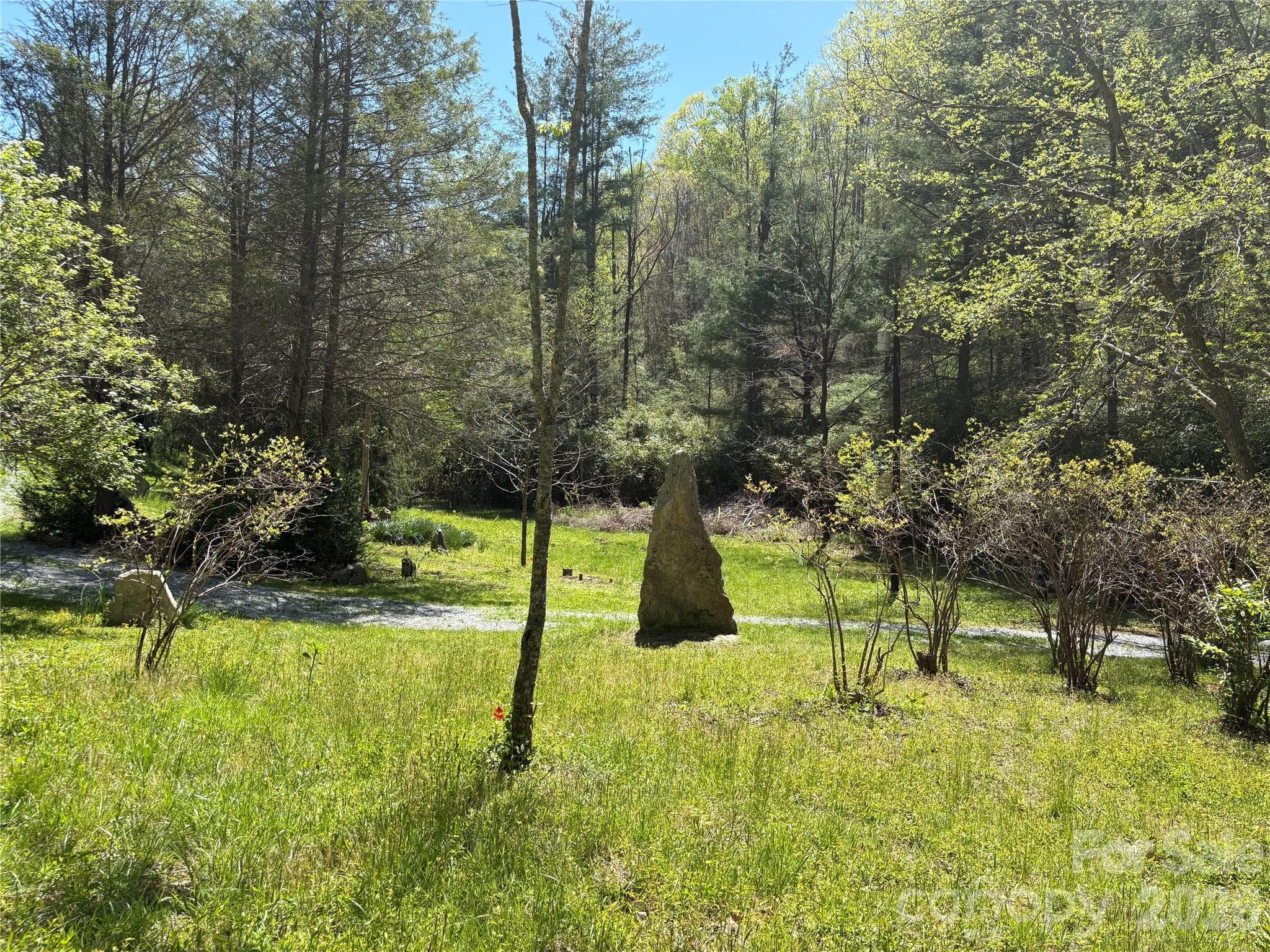 Acreage at Black Mountain, photo 2 of 27