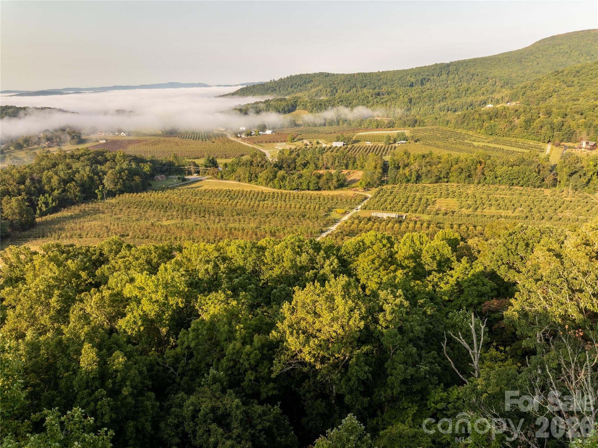 Farm at Hendersonville, photo 2 of 19