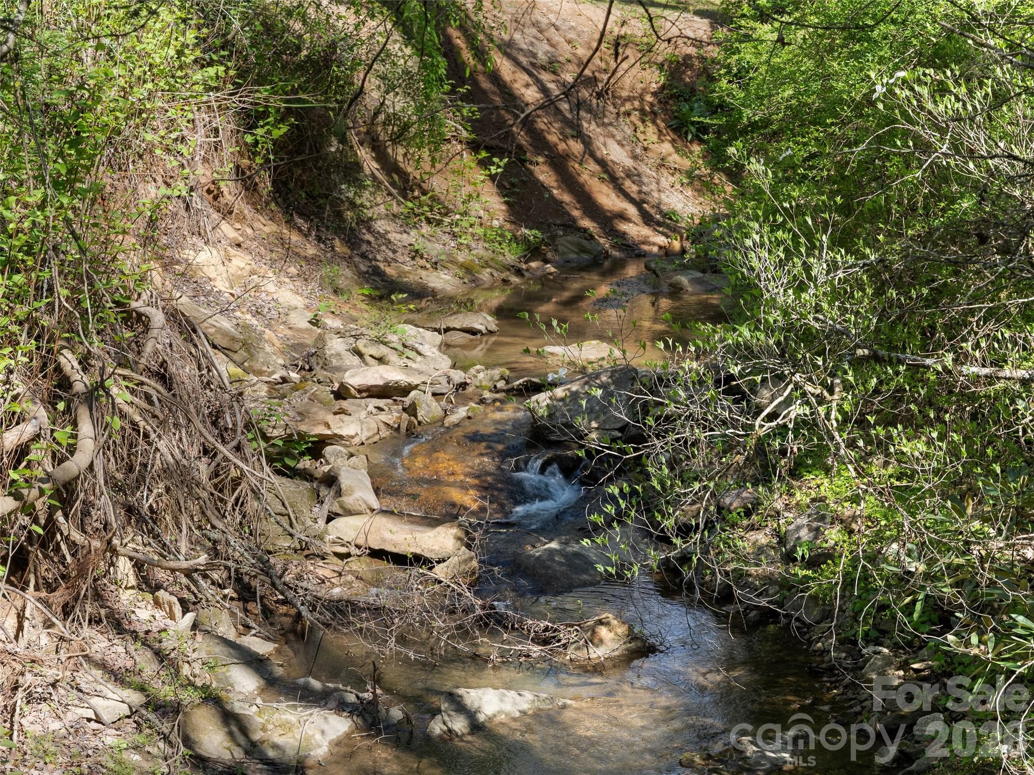 Creek runs throughout much of the 2+ acres - 40 Morning Dove Lane, Flat Rock