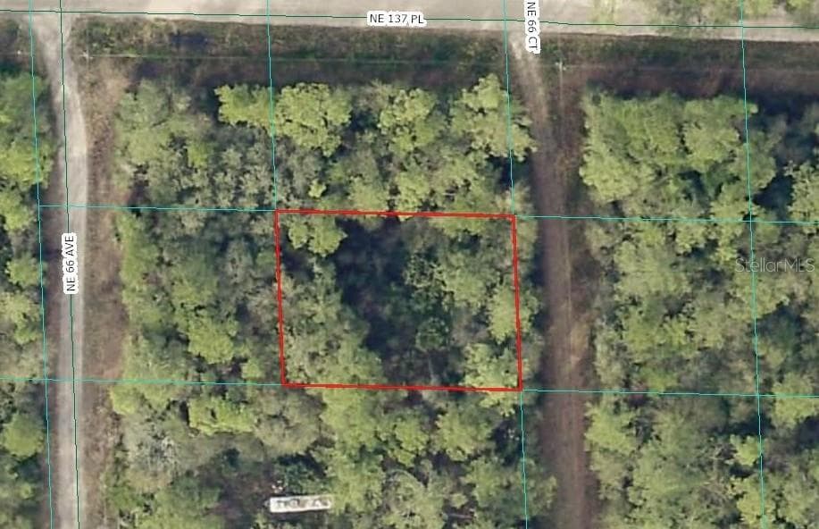 Land at 00 NE 66TH CT, CITRA, photo 8 of 8