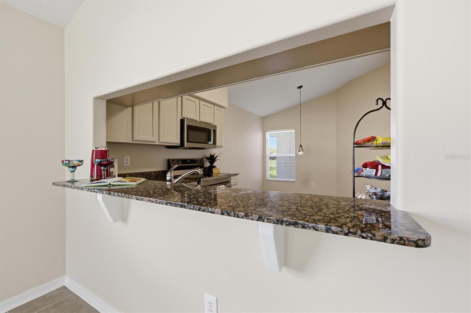 BAR COUNTER - 25831 SYME CT, LAND O LAKES