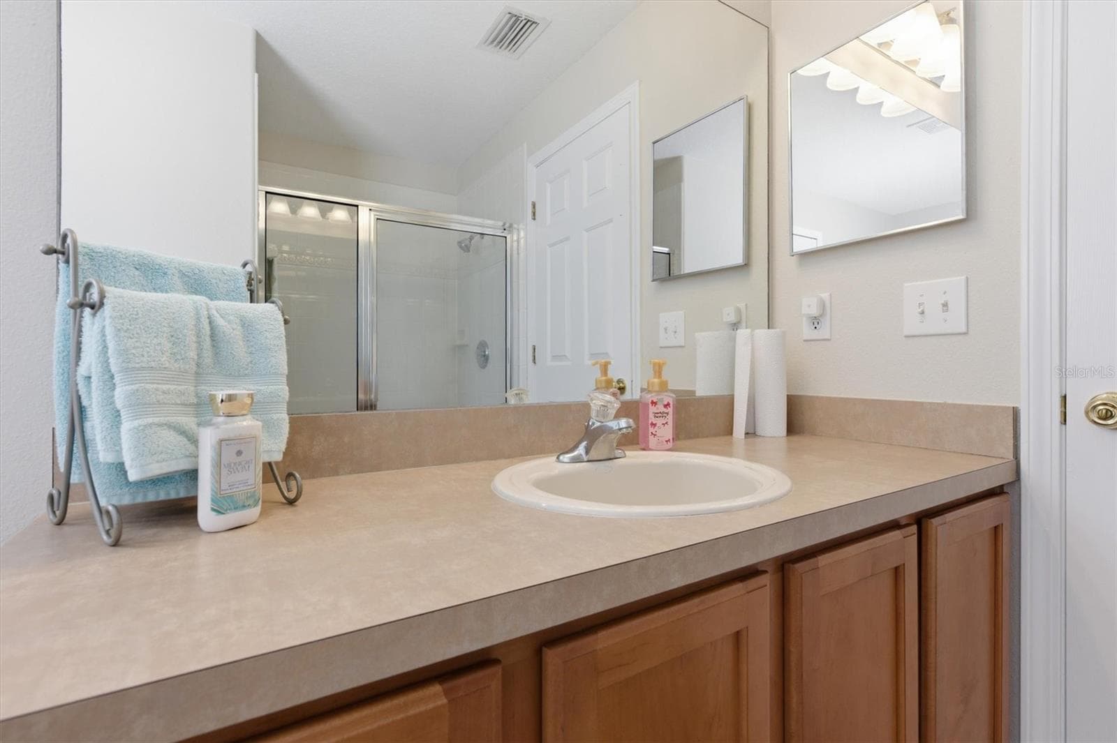 MASTER BATH 2 - 25831 SYME CT, LAND O LAKES