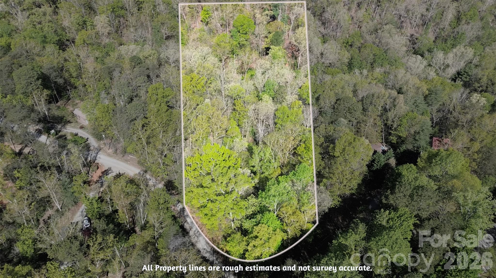 Lot at 0 Wolf Trail, Lake Lure, photo 2 of 14