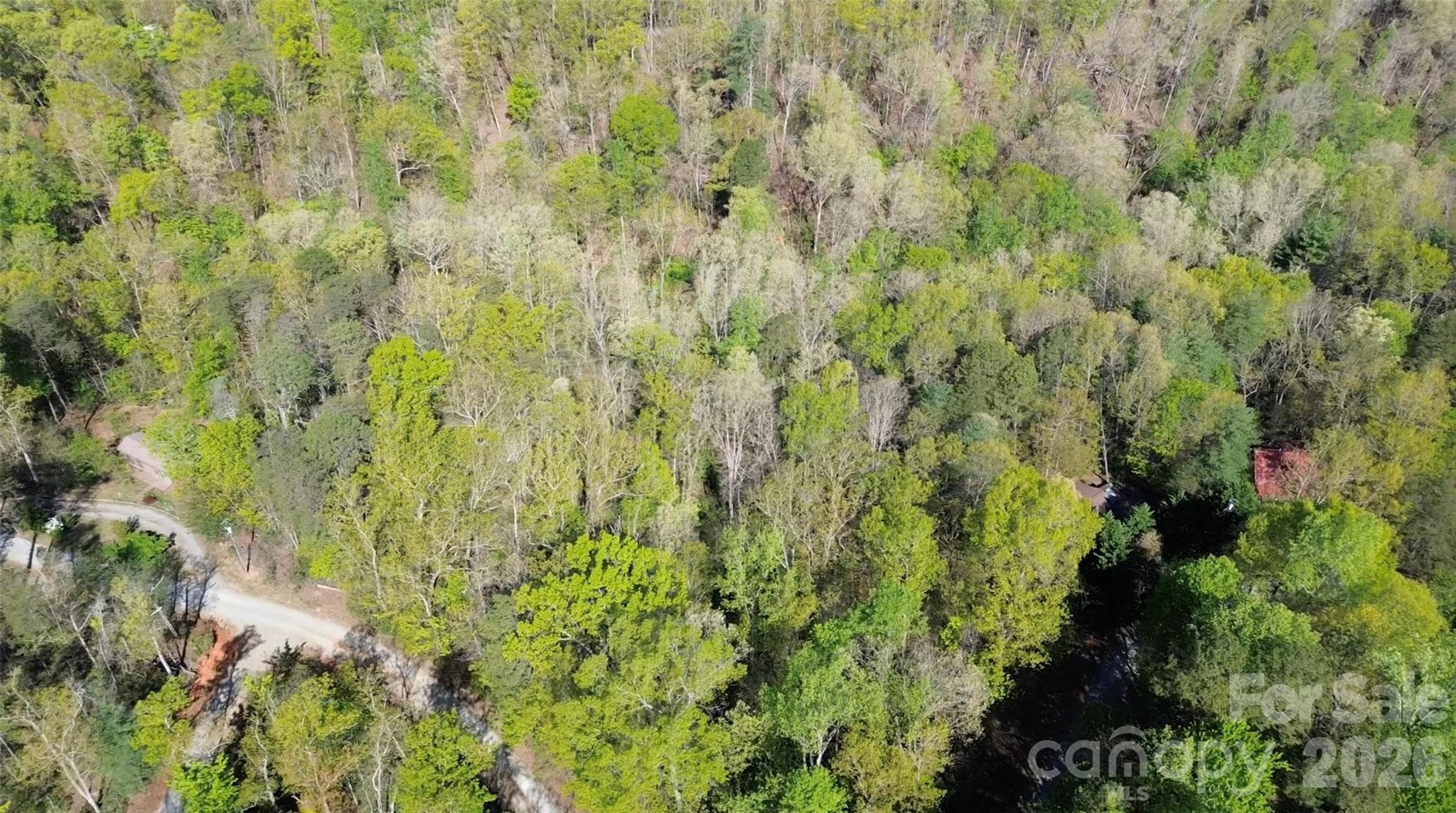 Lot at 0 Wolf Trail, Lake Lure, photo 6 of 14