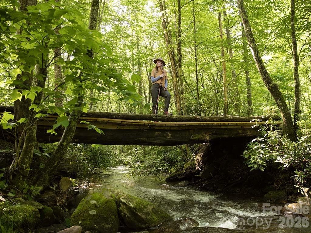 Miles of enjoyable hiking trails - Sylva