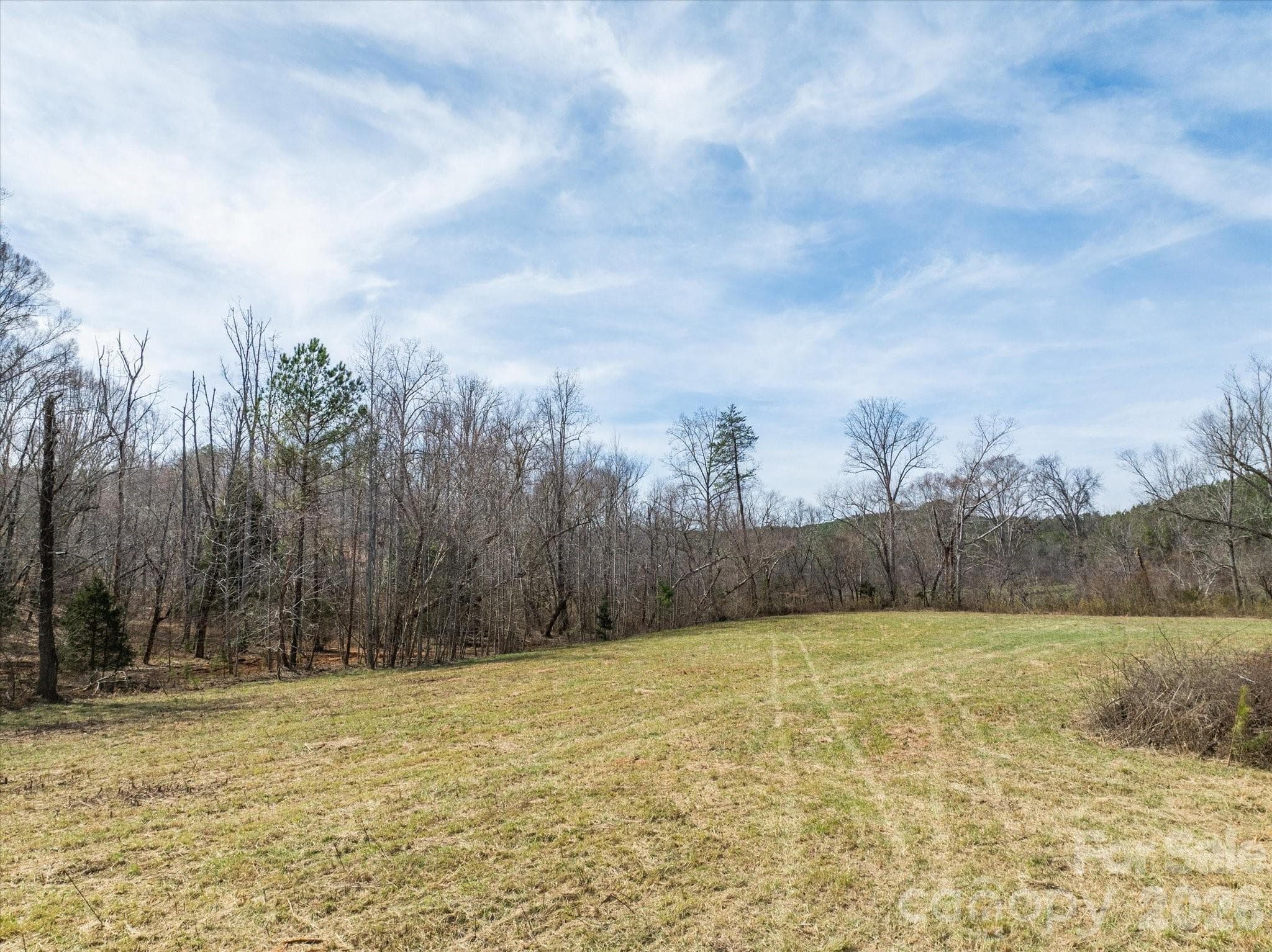 Acreage at Mill Spring, photo 5 of 21