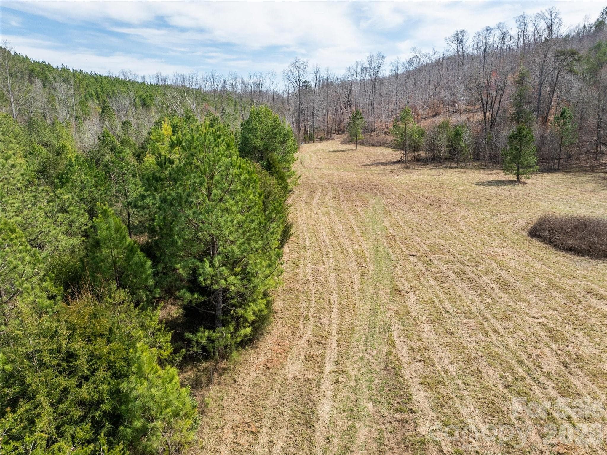 Acreage at Mill Spring, photo 9 of 21