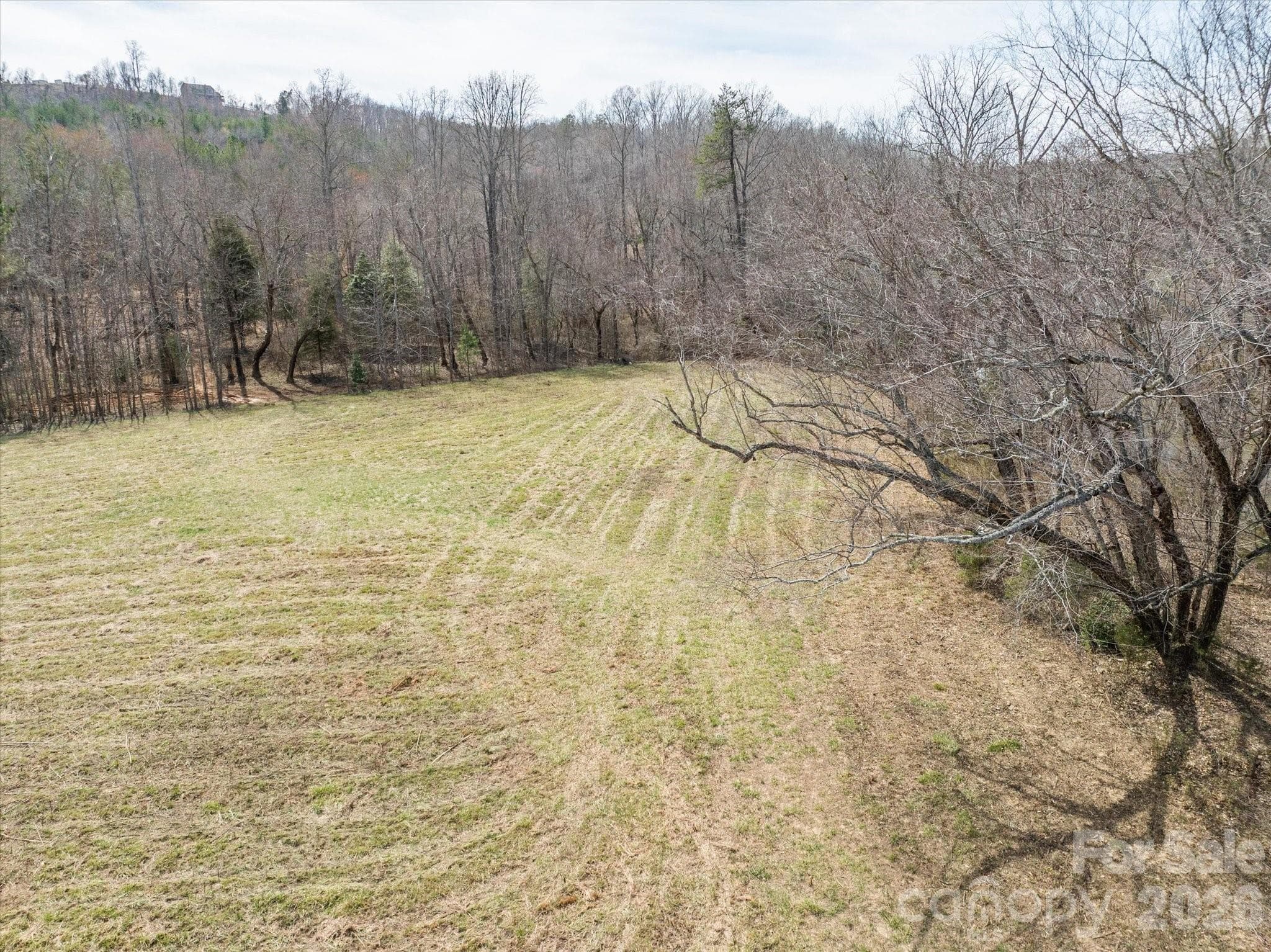 Acreage at Mill Spring, photo 10 of 21