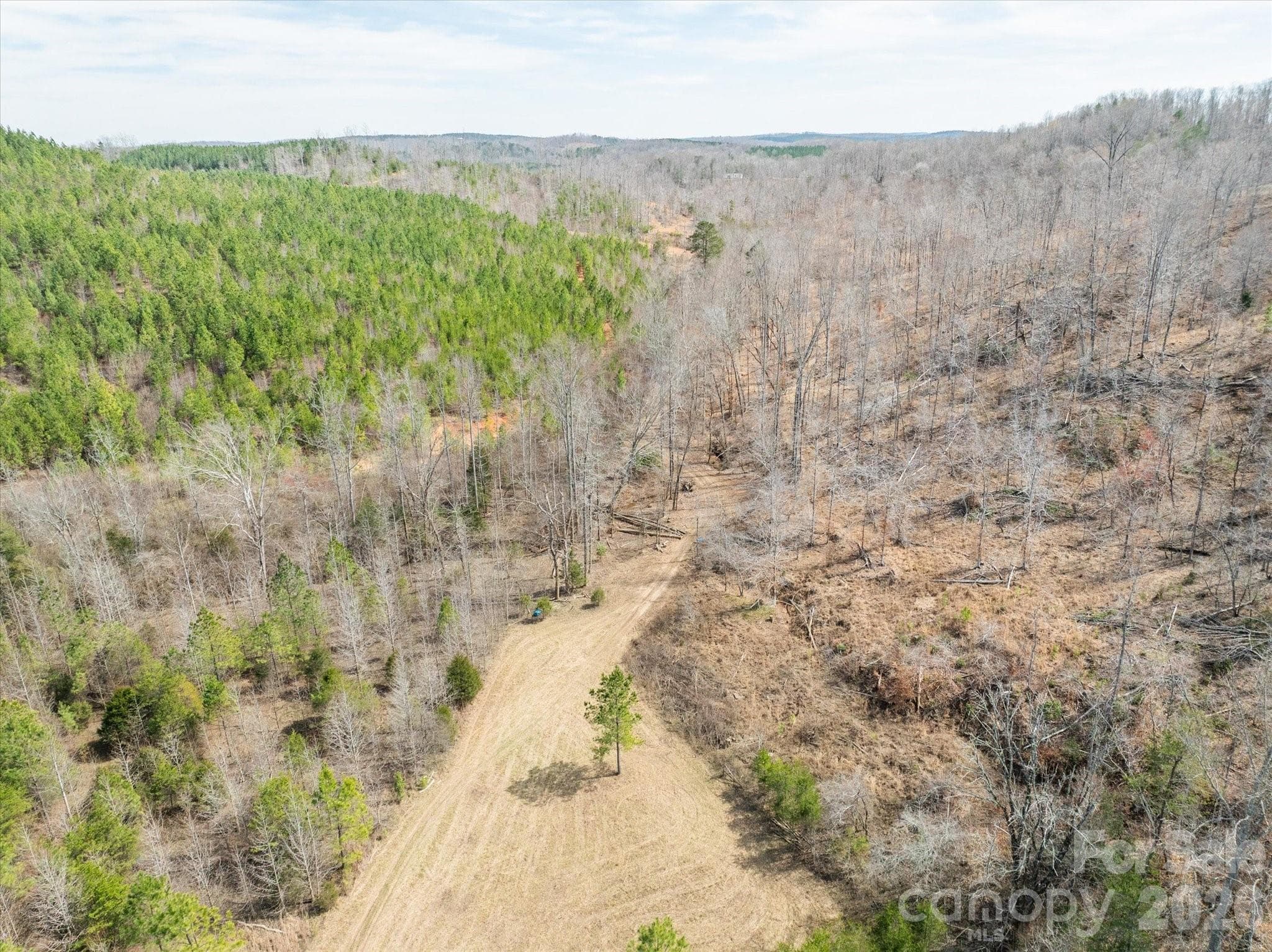 Acreage at Mill Spring, photo 15 of 21