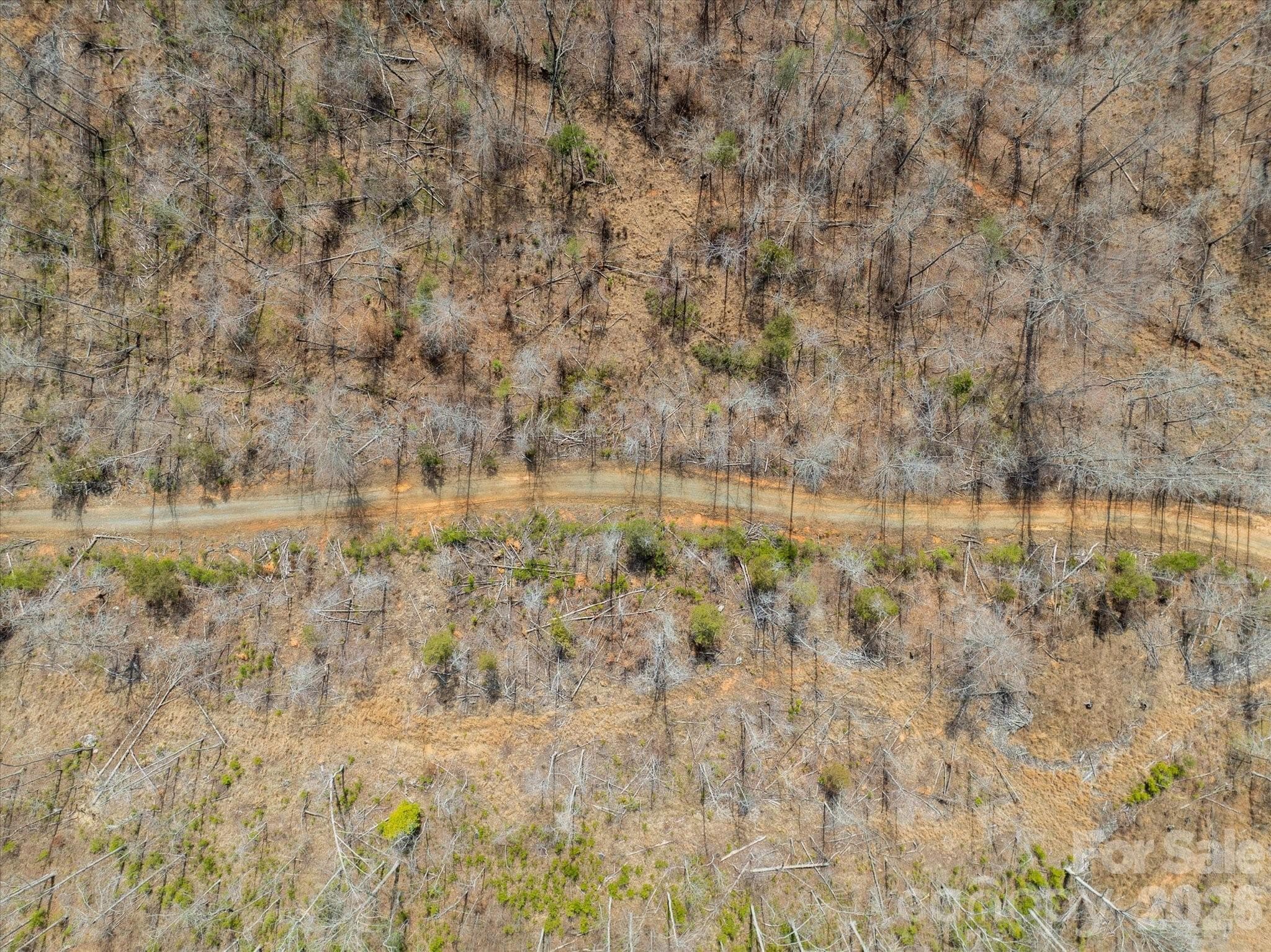 Acreage at Mill Spring, photo 16 of 21