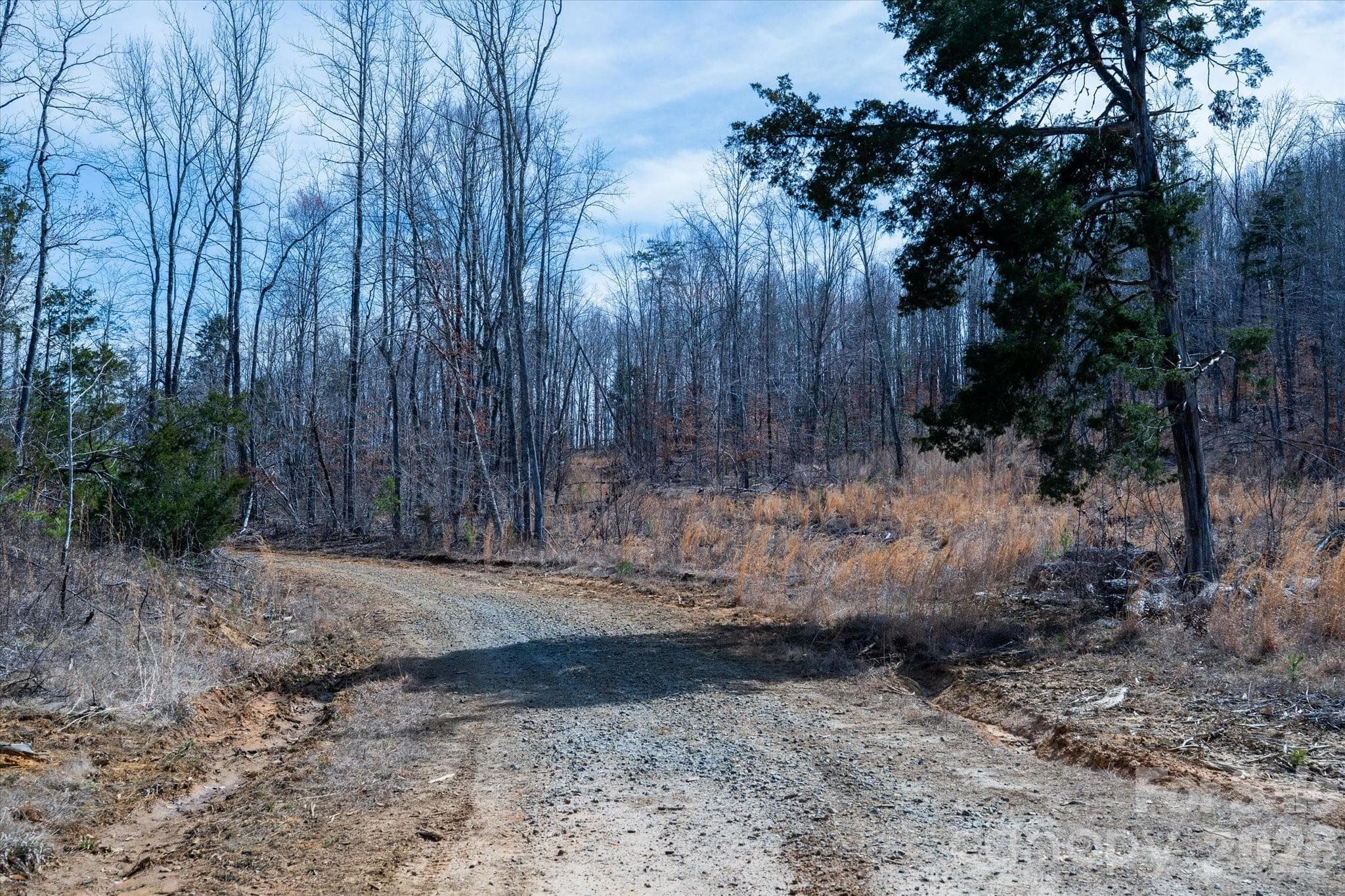 Acreage at Mill Spring, photo 17 of 21