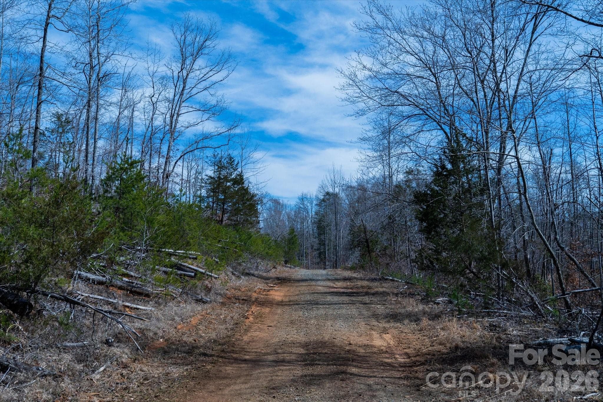 Acreage at Mill Spring, photo 19 of 21