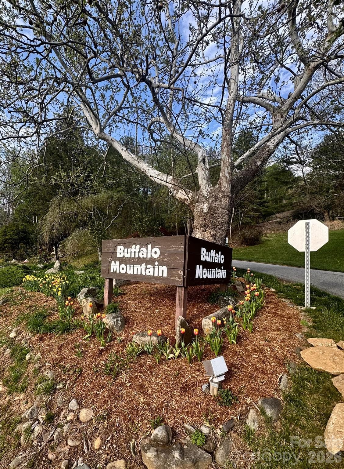 Buffalo Mountain entrance - Asheville