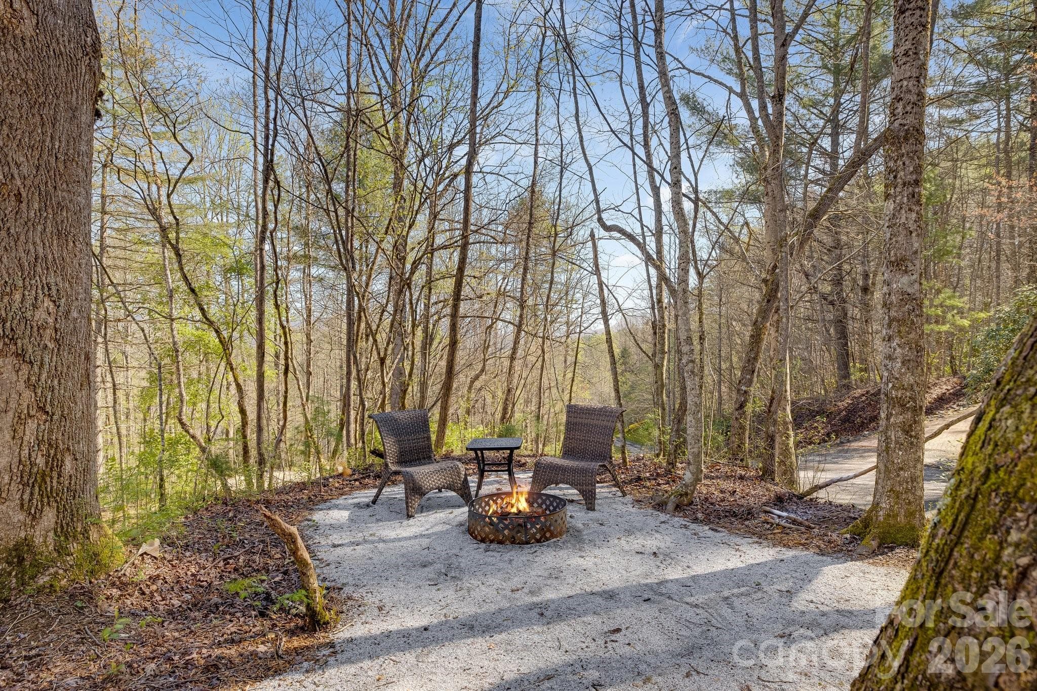 Business at 186 Meece Road, Rosman, photo 10 of 45