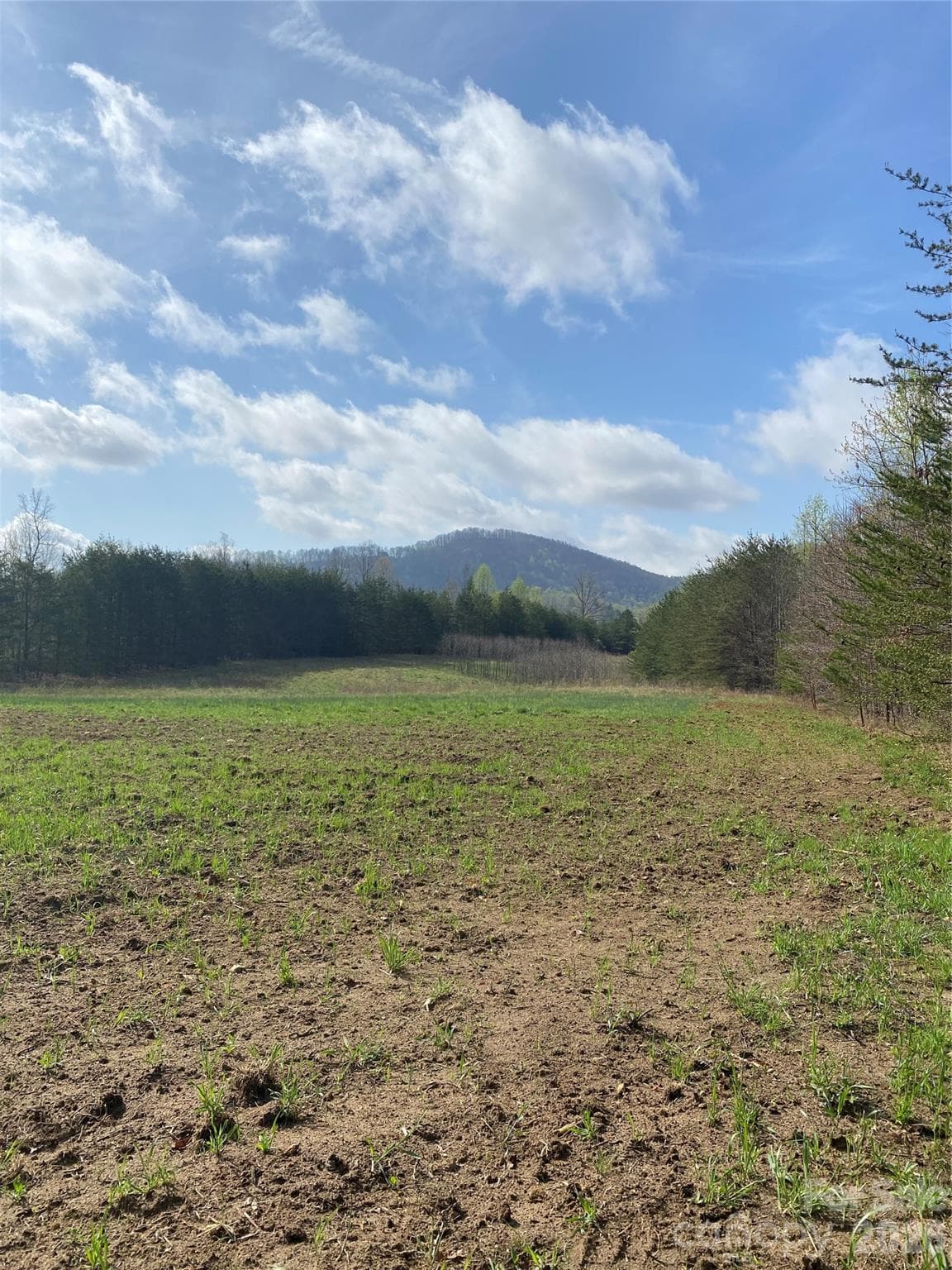 Acreage at 00 Cane Creek Mountain Road, Bostic, photo 5 of 13