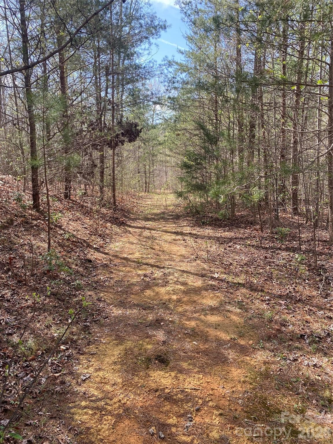 Acreage at 00 Cane Creek Mountain Road, Bostic, photo 7 of 13