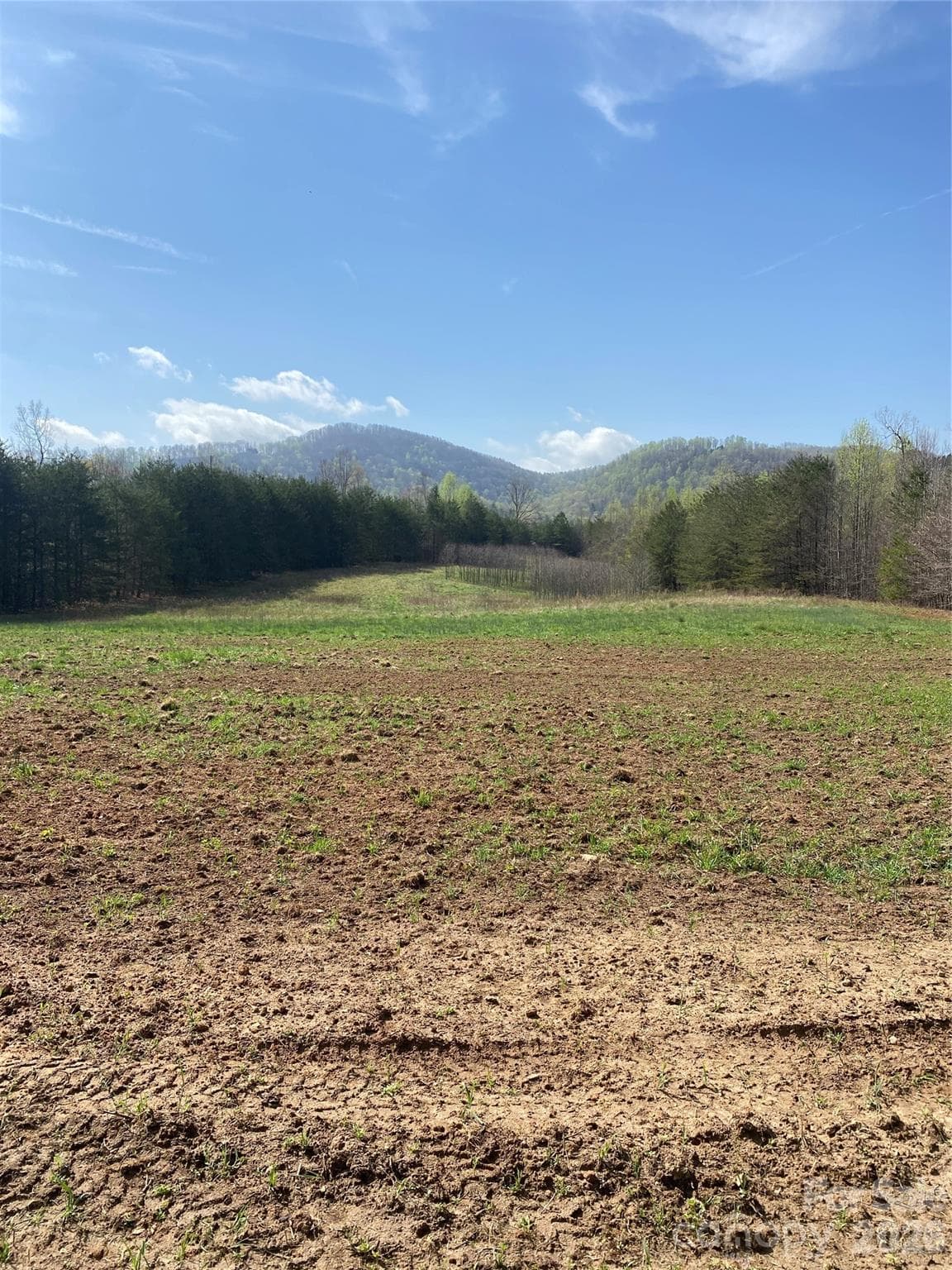 Acreage at 00 Cane Creek Mountain Road, Bostic, photo 8 of 13