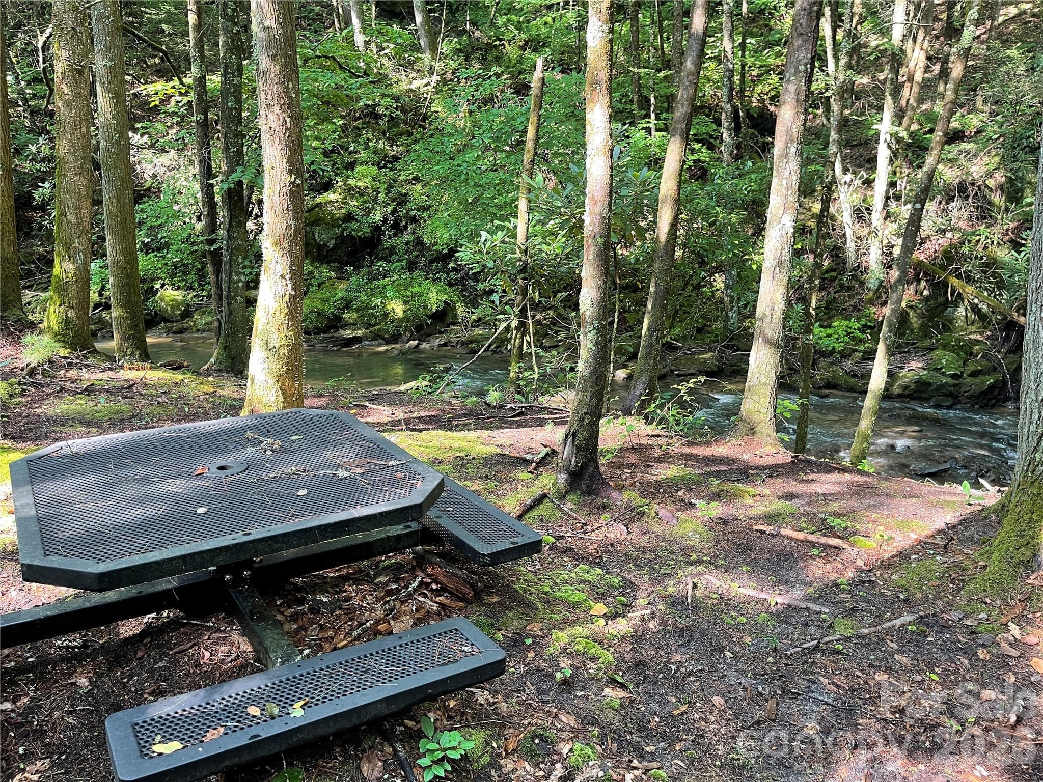 Imagine All The Streamside Picnics - Laurel Springs
