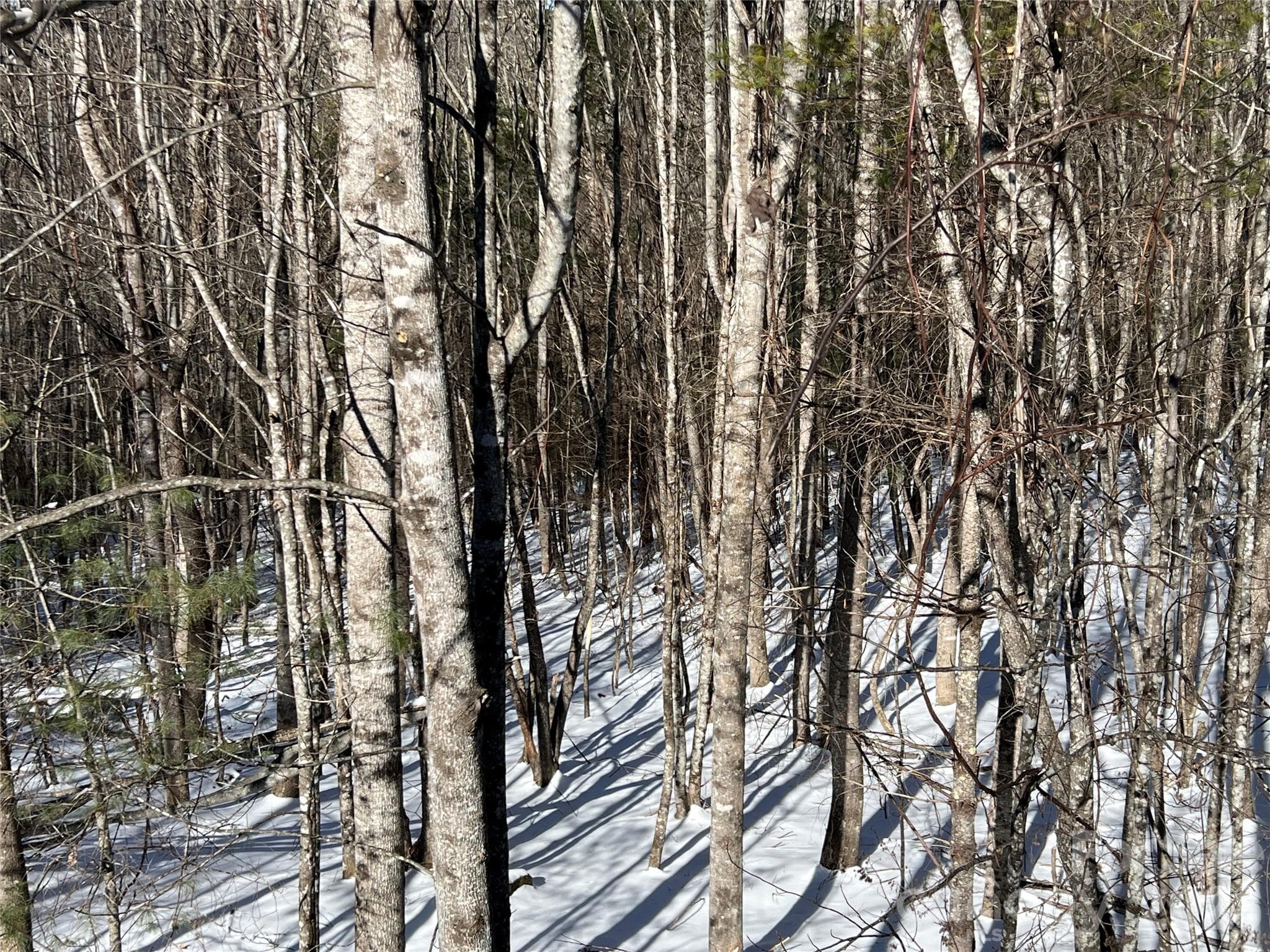 Lot at Laurel Springs, photo 4 of 21