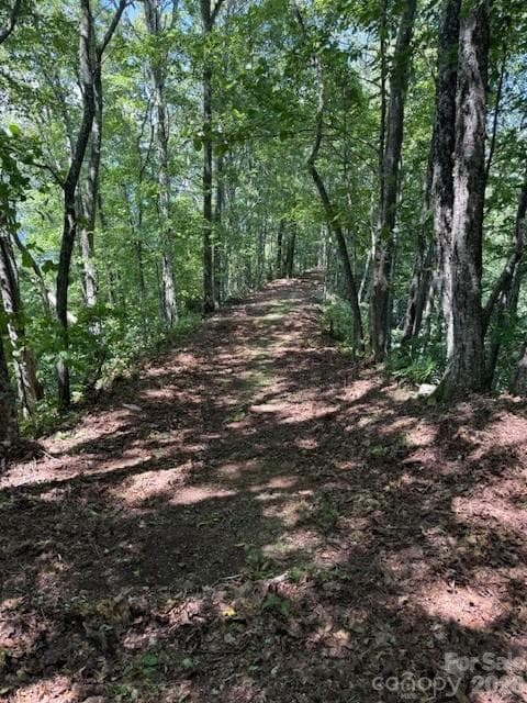 Lot at Sylva, photo 7 of 7