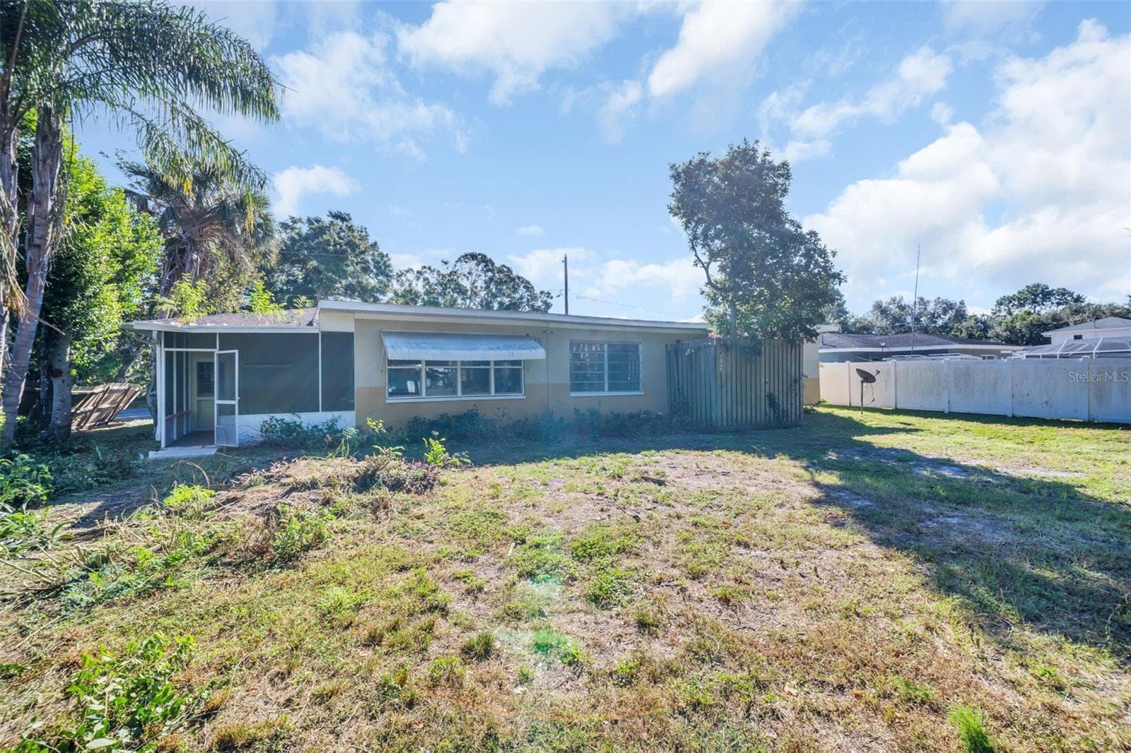 Back Yard - 1182 NORWOOD AVE, CLEARWATER