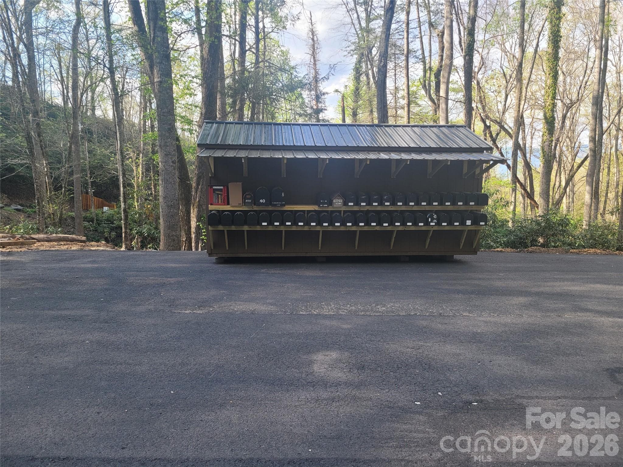 Acreage at 9999 Lytle Cove Road Road, Swannanoa, photo 2 of 24