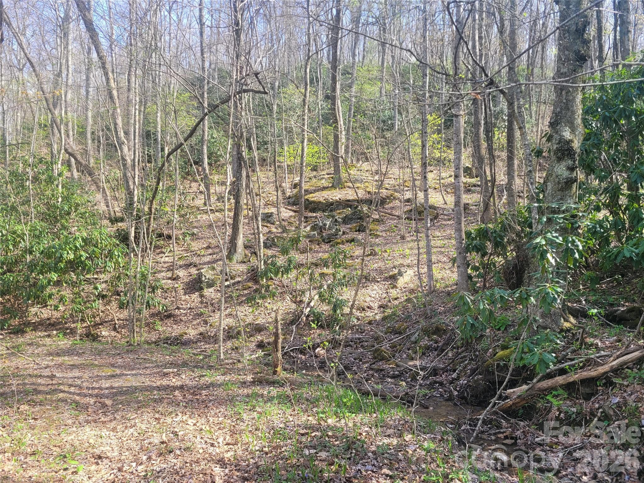 Acreage at 9999 Lytle Cove Road Road, Swannanoa, photo 6 of 24