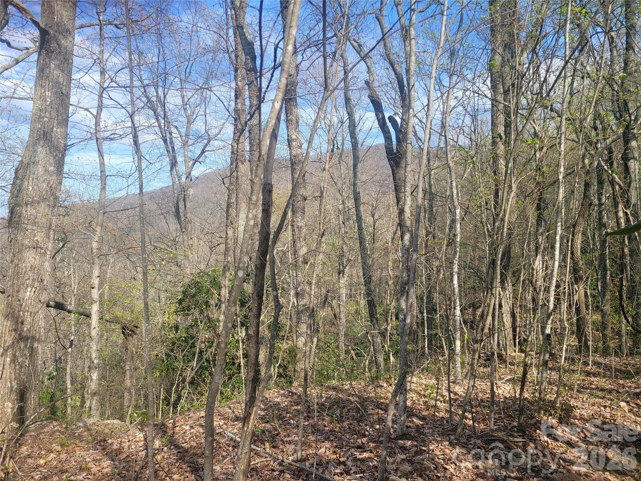 Acreage at 9999 Lytle Cove Road Road, Swannanoa, photo 7 of 24