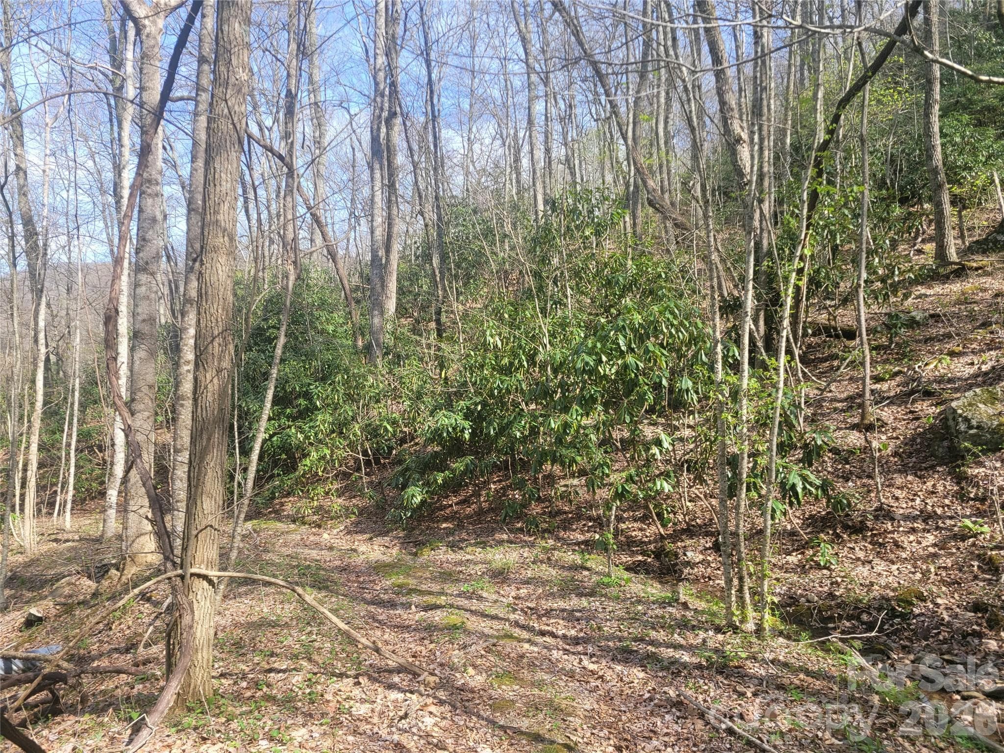 Acreage at 9999 Lytle Cove Road Road, Swannanoa, photo 10 of 24