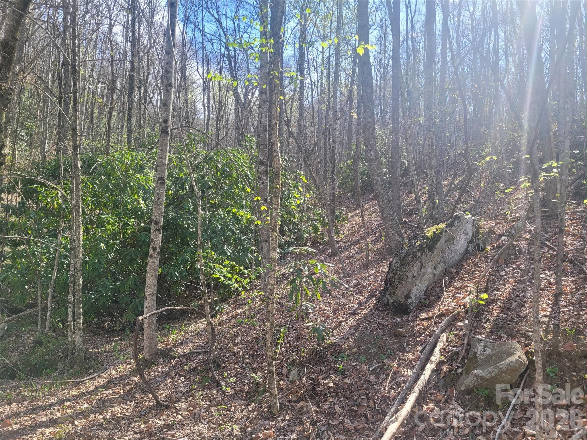 Acreage at 9999 Lytle Cove Road Road, Swannanoa, photo 11 of 24