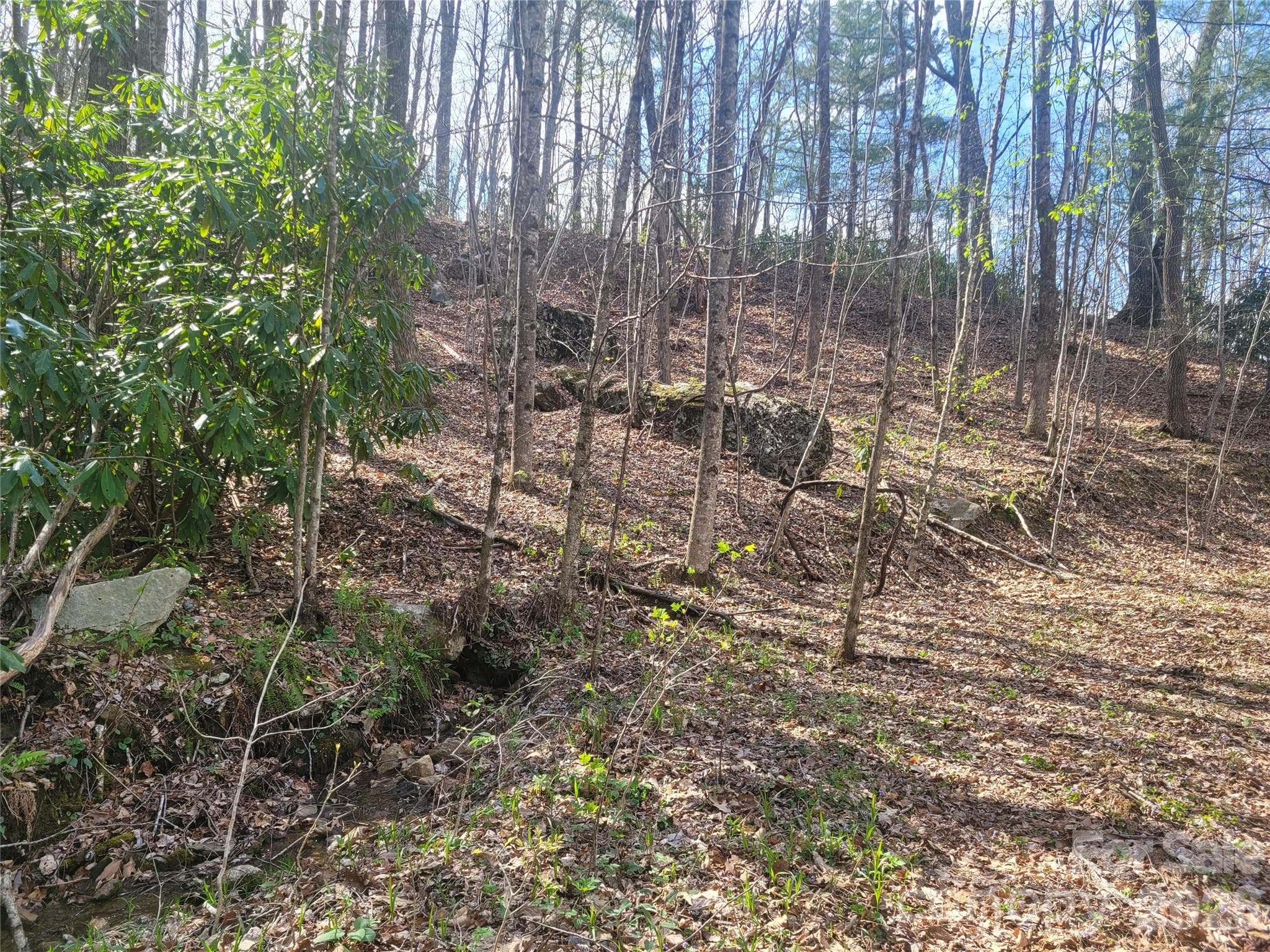 Acreage at 9999 Lytle Cove Road Road, Swannanoa, photo 12 of 24