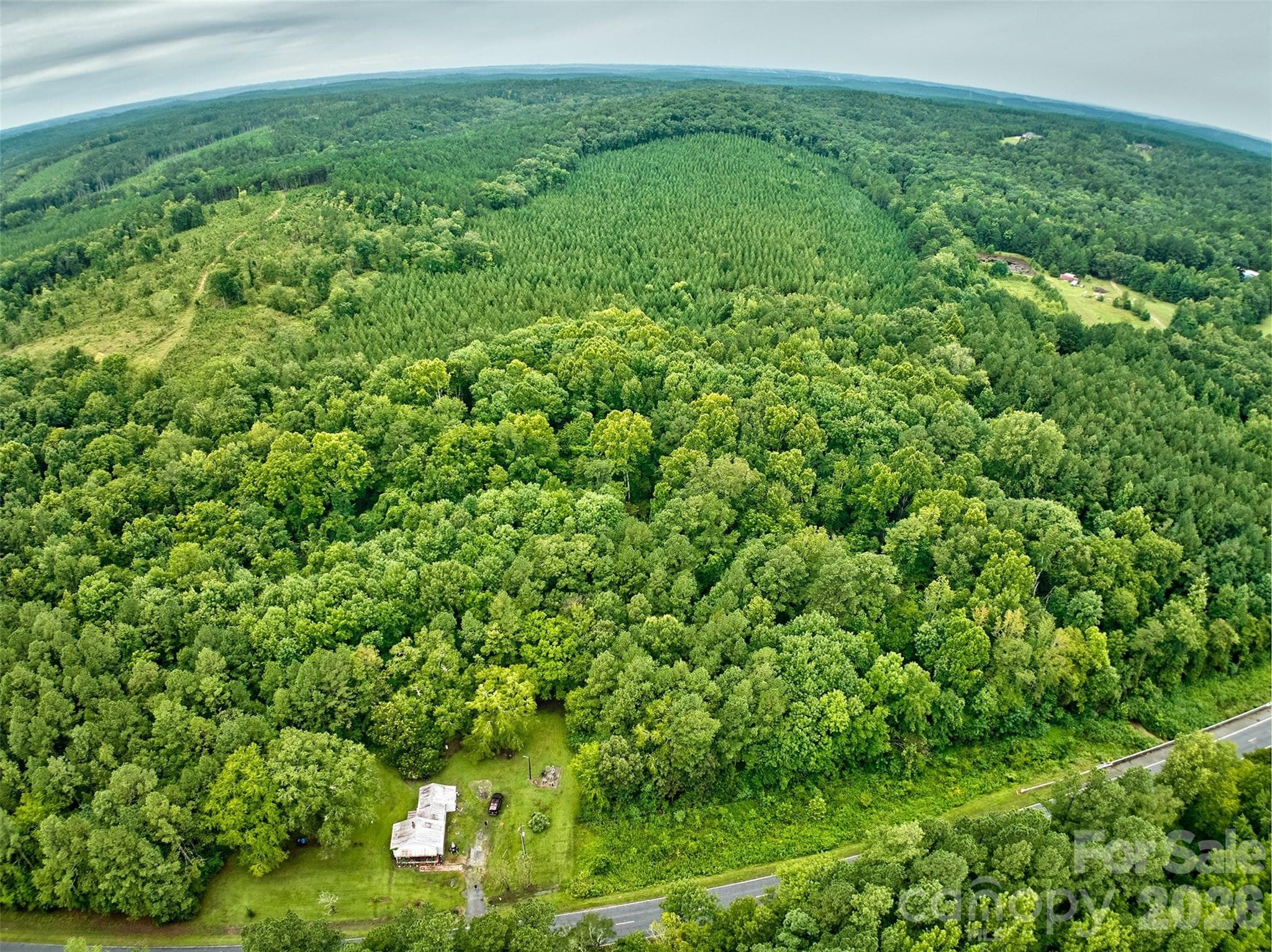 Acreage at 21 US Highway 21 Highway, Ridgeway, photo 13 of 23