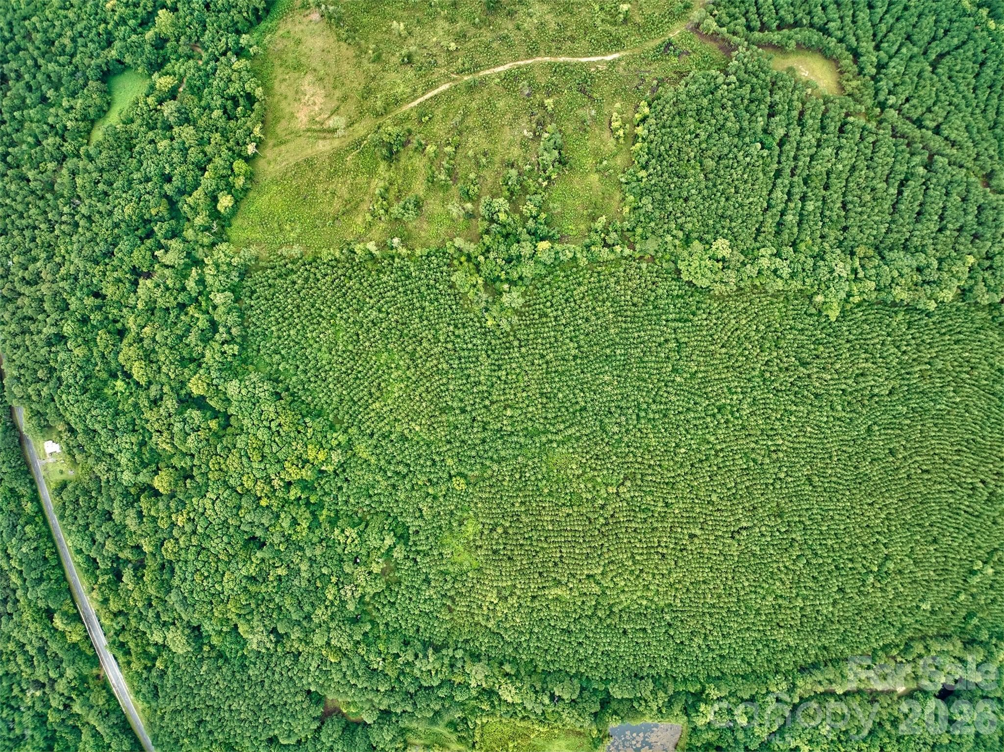 Acreage at 21 US Highway 21 Highway, Ridgeway, photo 15 of 23