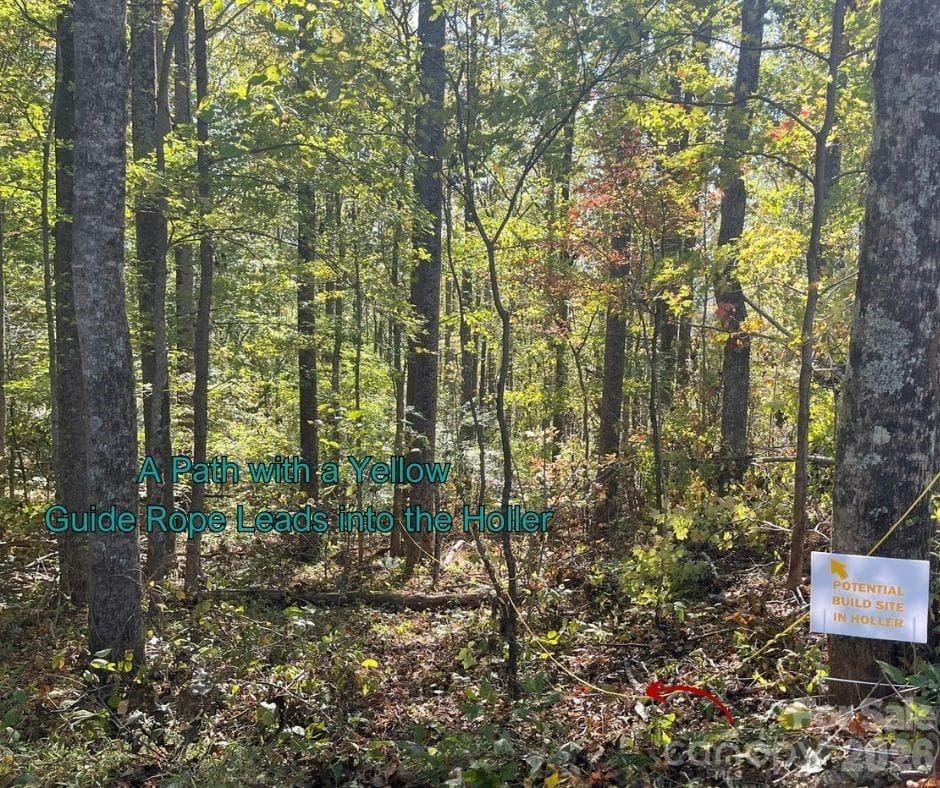 Acreage at Weaverville, photo 10 of 11
