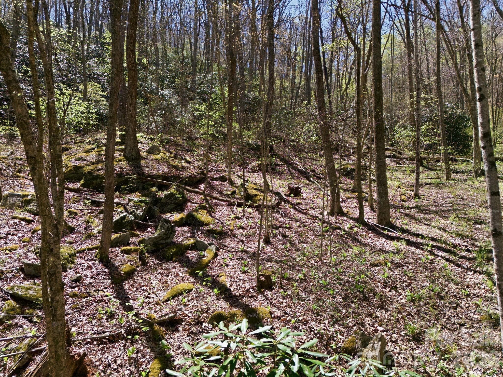 Acreage at 9999 Lytle Cove Road Road, Swannanoa, photo 13 of 24