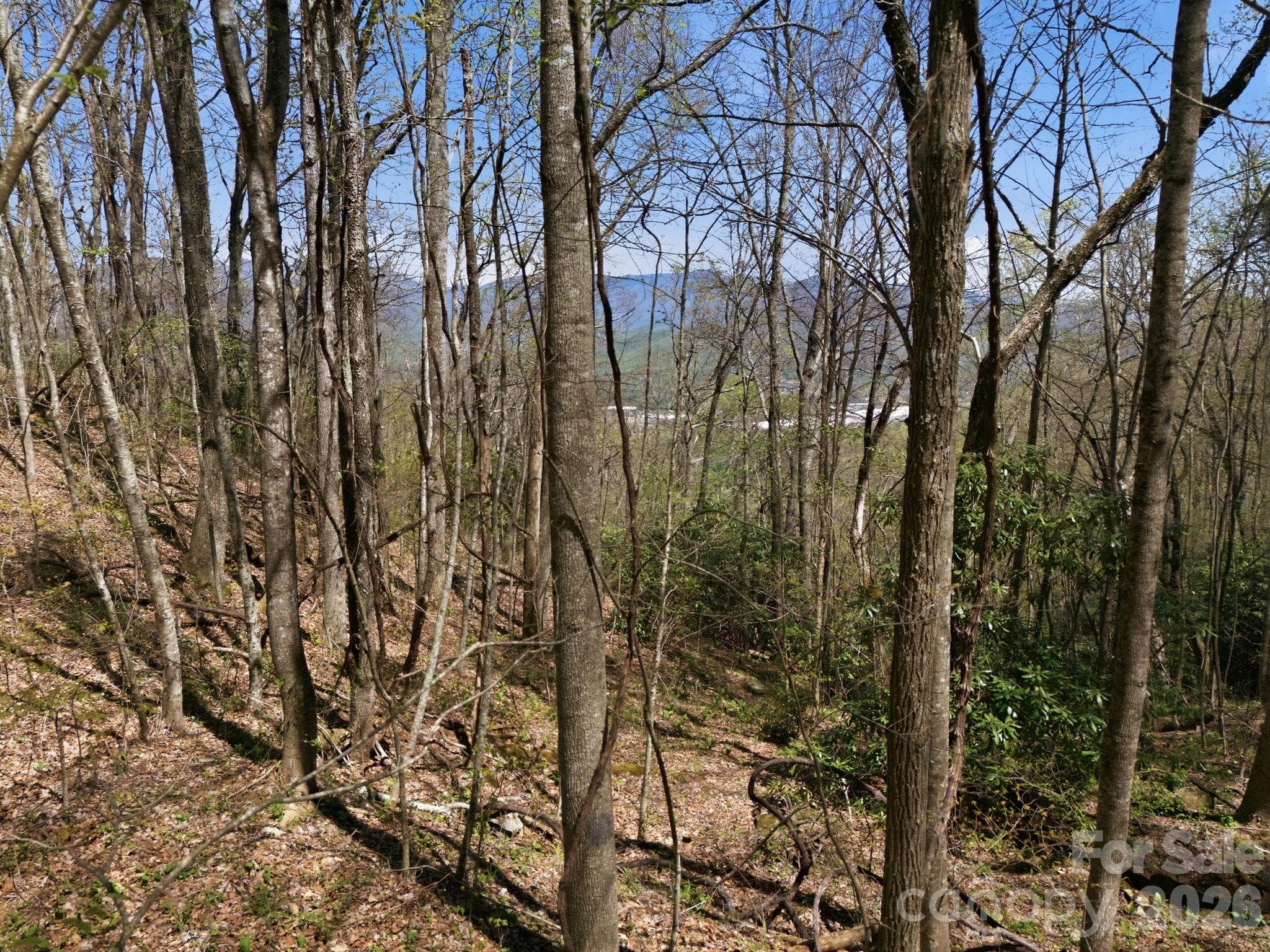 Acreage at 9999 Lytle Cove Road Road, Swannanoa, photo 14 of 24