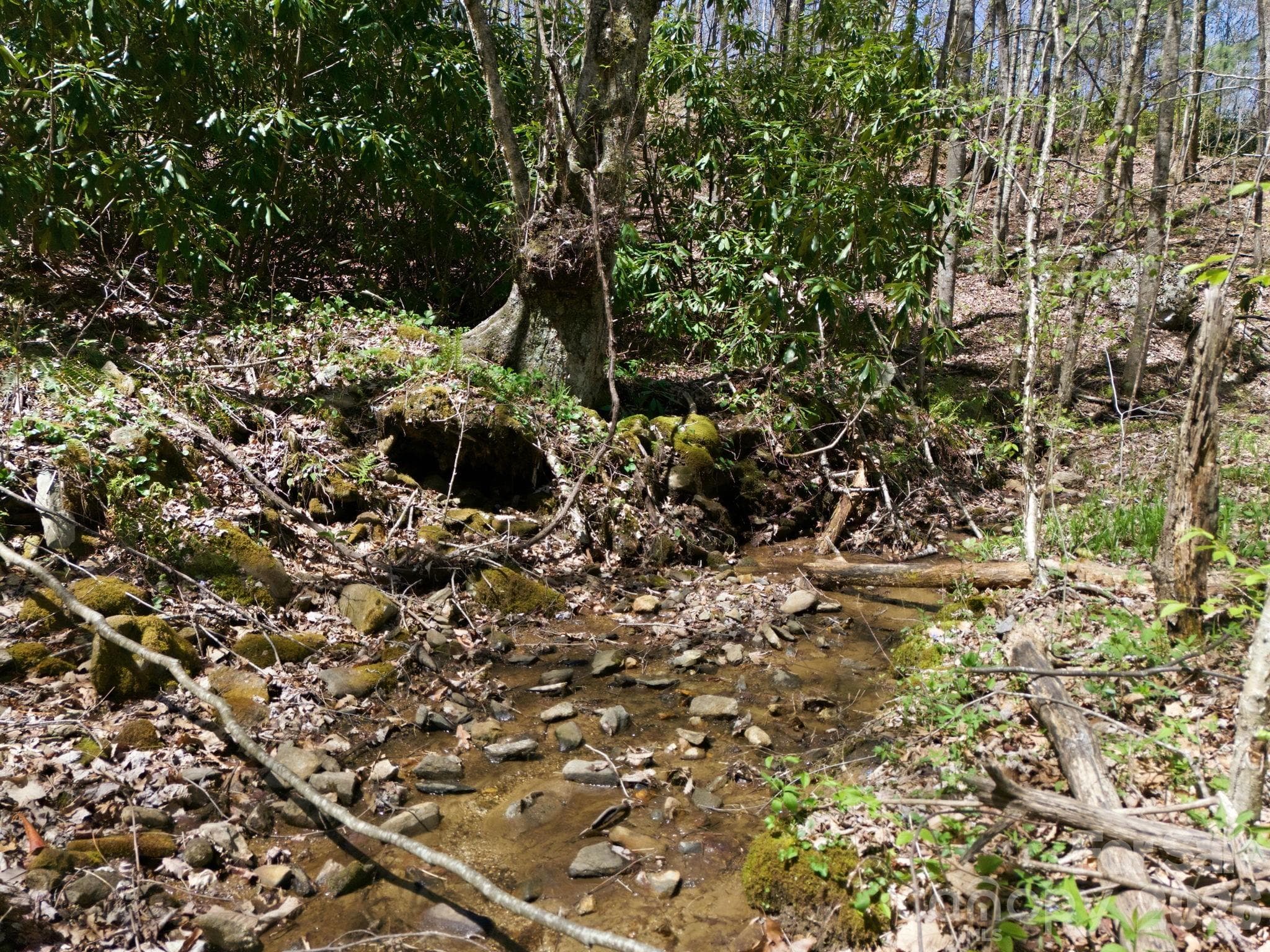 Acreage at 9999 Lytle Cove Road Road, Swannanoa, photo 15 of 24