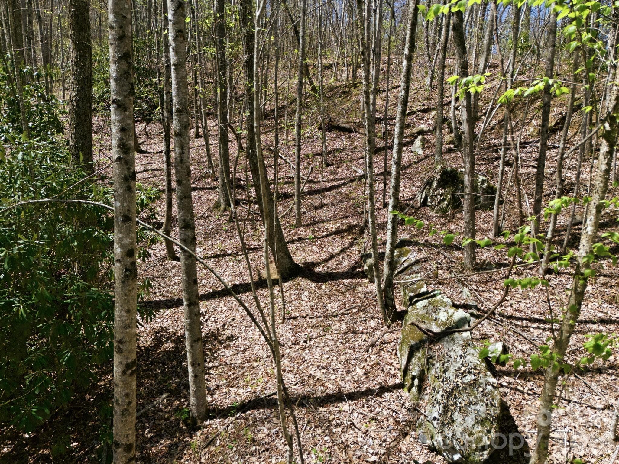 Acreage at 9999 Lytle Cove Road Road, Swannanoa, photo 16 of 24