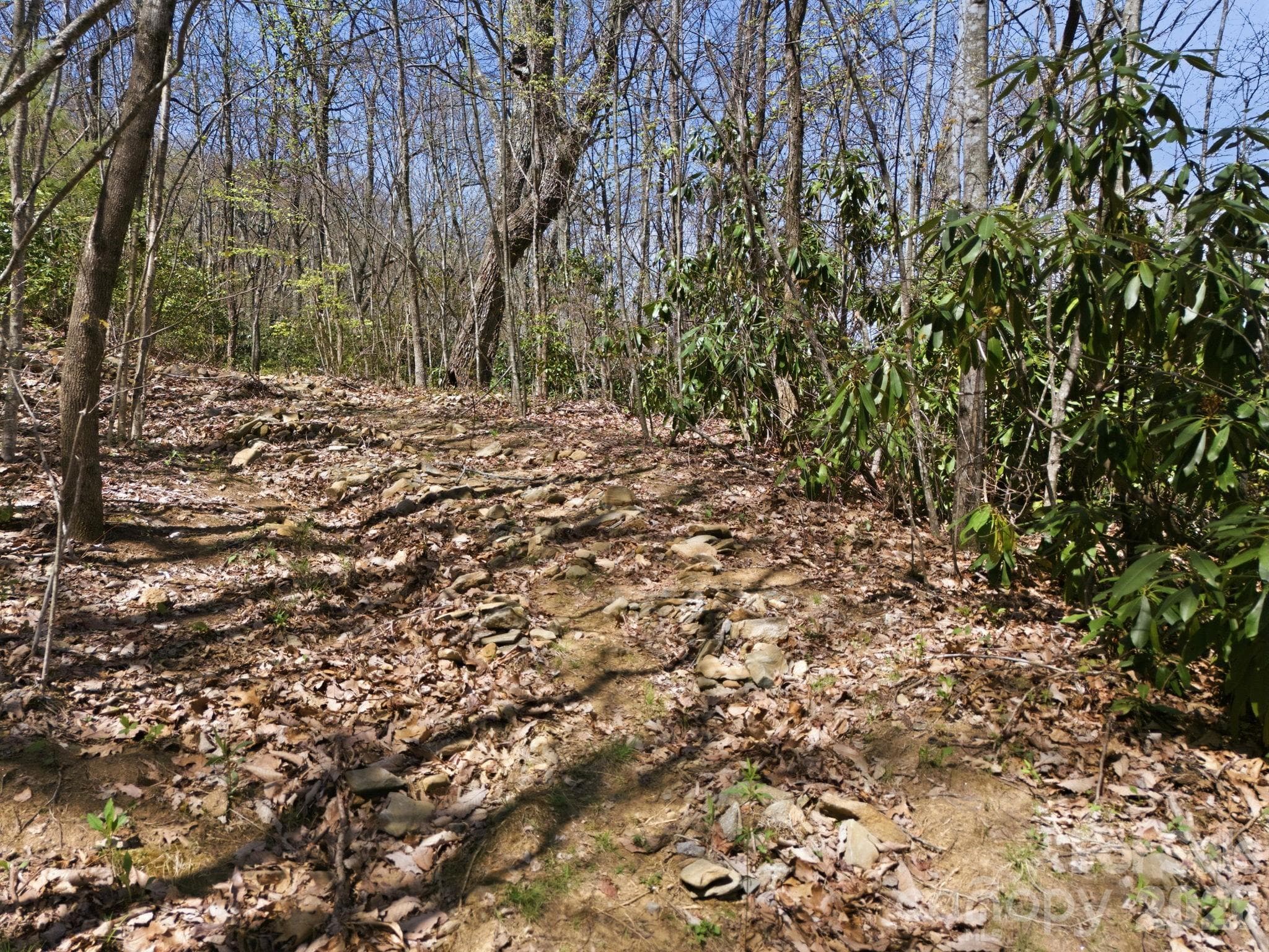 Acreage at 9999 Lytle Cove Road Road, Swannanoa, photo 17 of 24