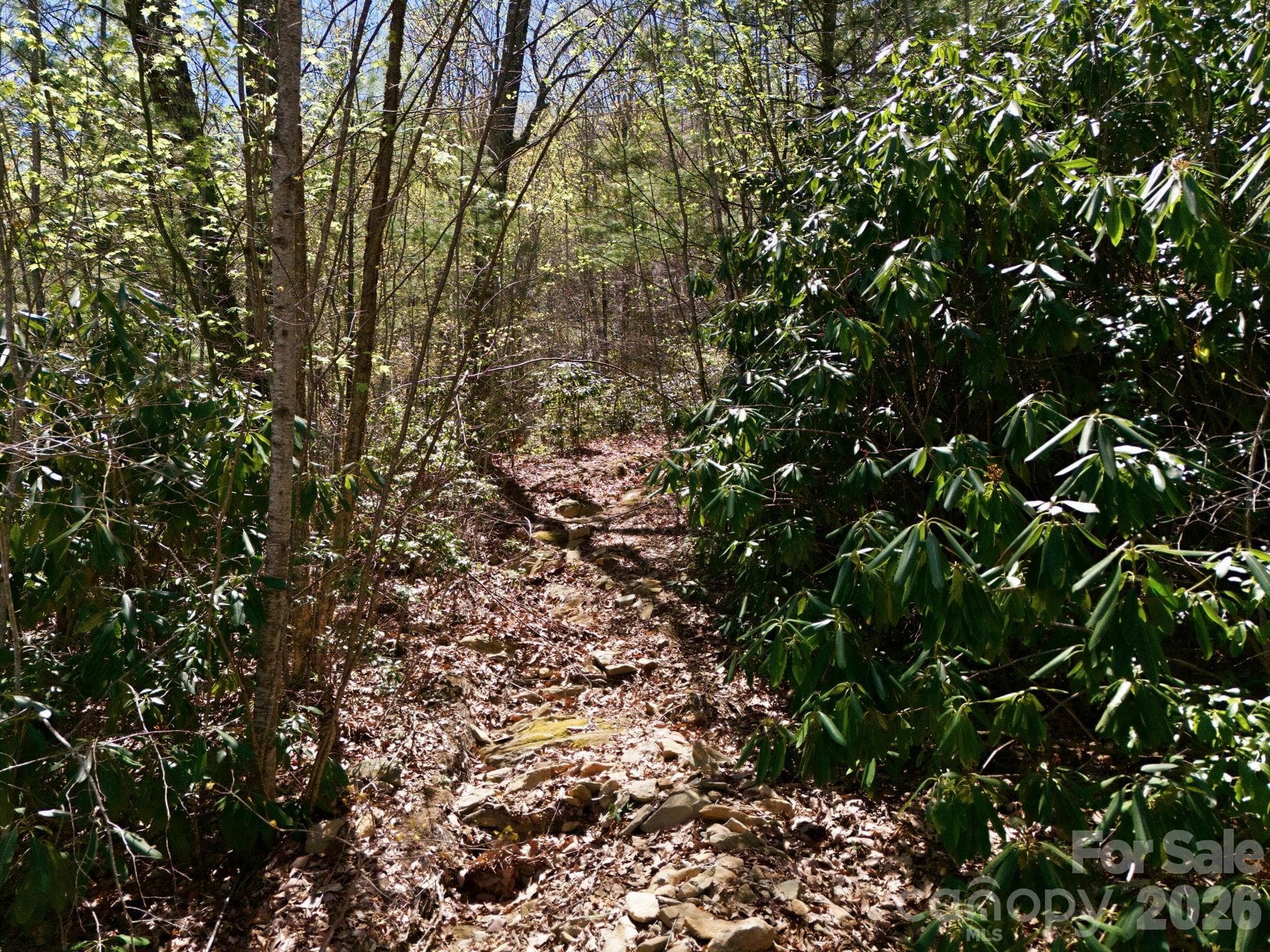 Acreage at 9999 Lytle Cove Road Road, Swannanoa, photo 18 of 24