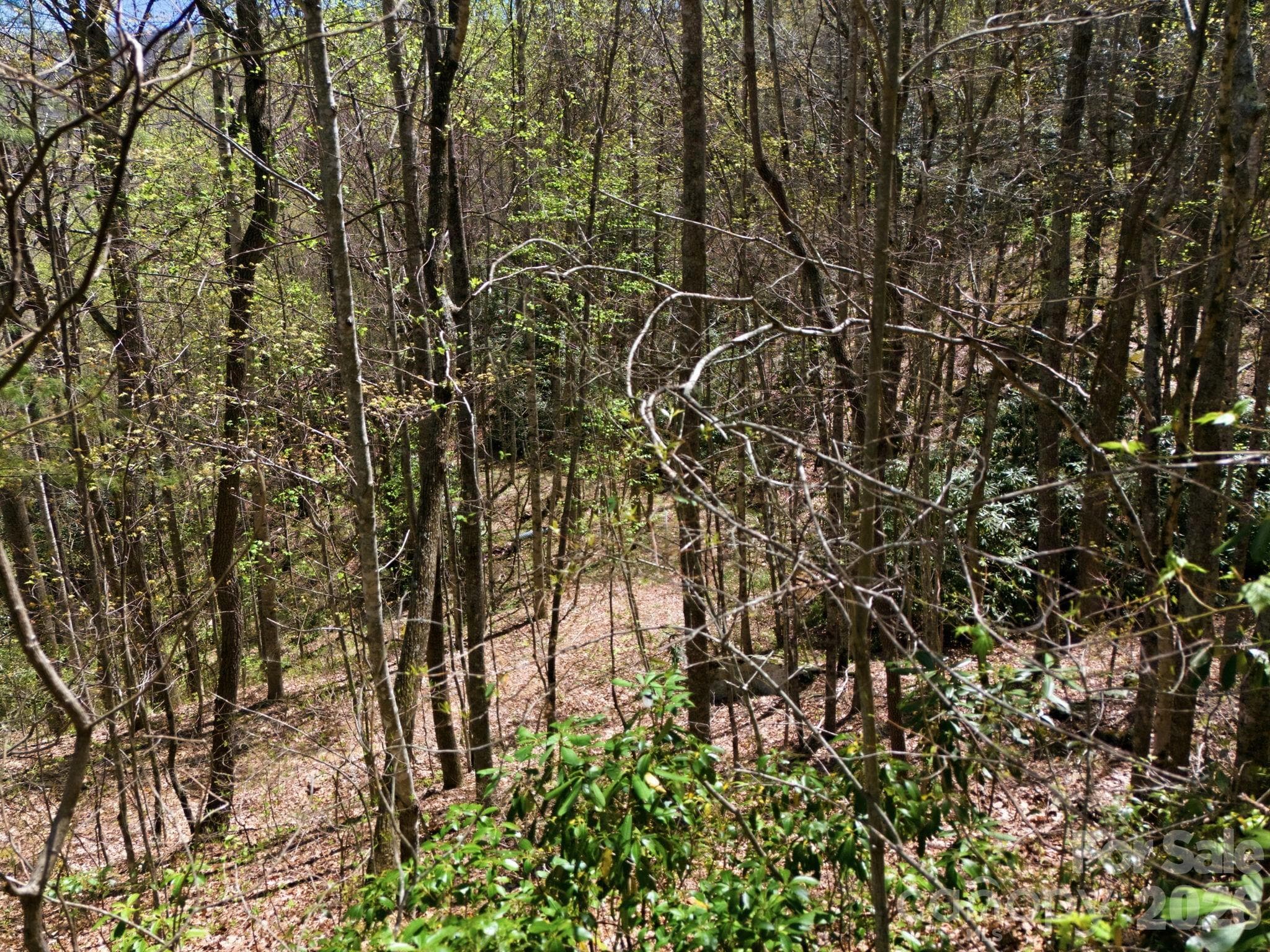 Acreage at 9999 Lytle Cove Road Road, Swannanoa, photo 20 of 24
