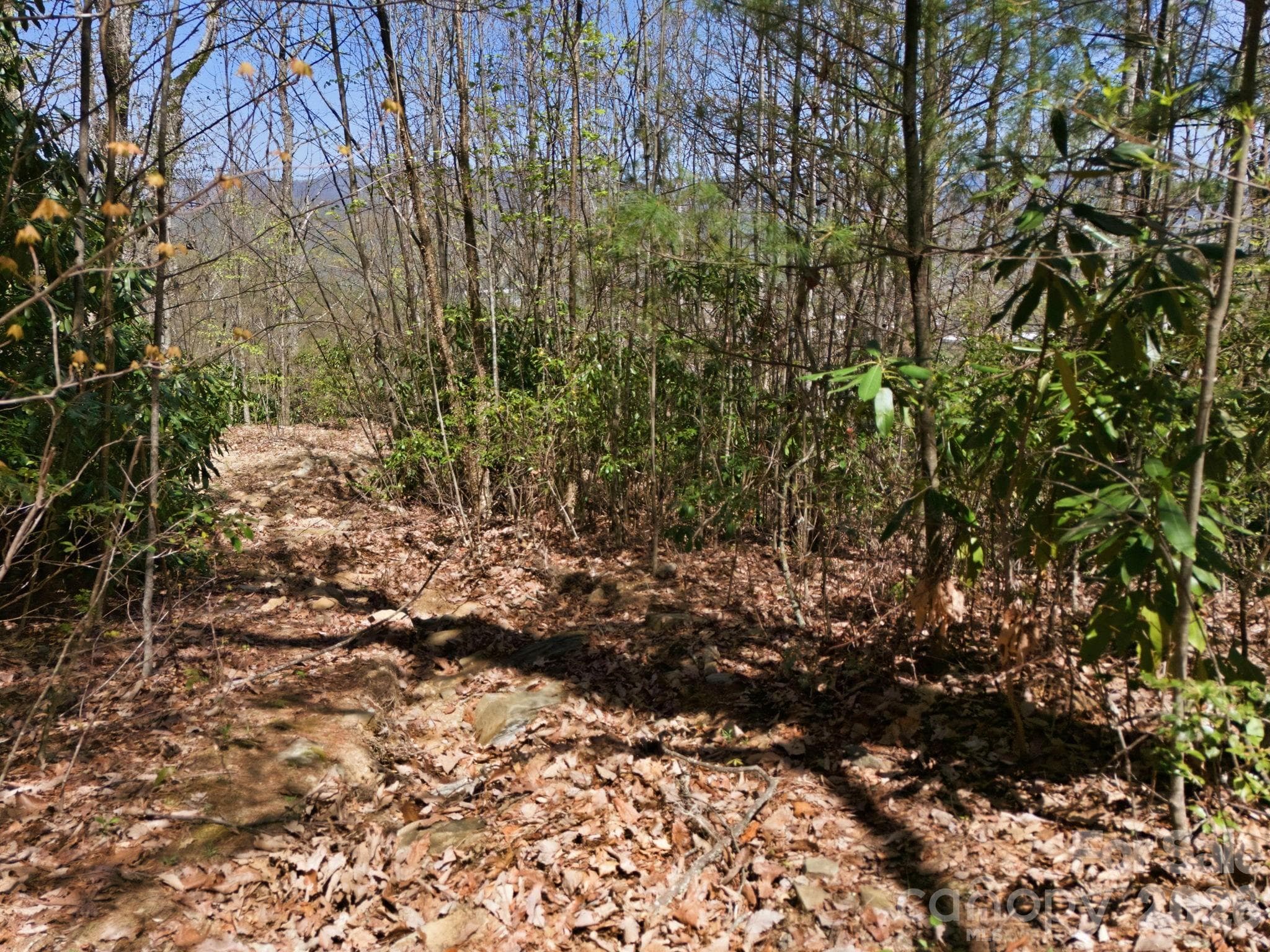 Acreage at 9999 Lytle Cove Road Road, Swannanoa, photo 21 of 24