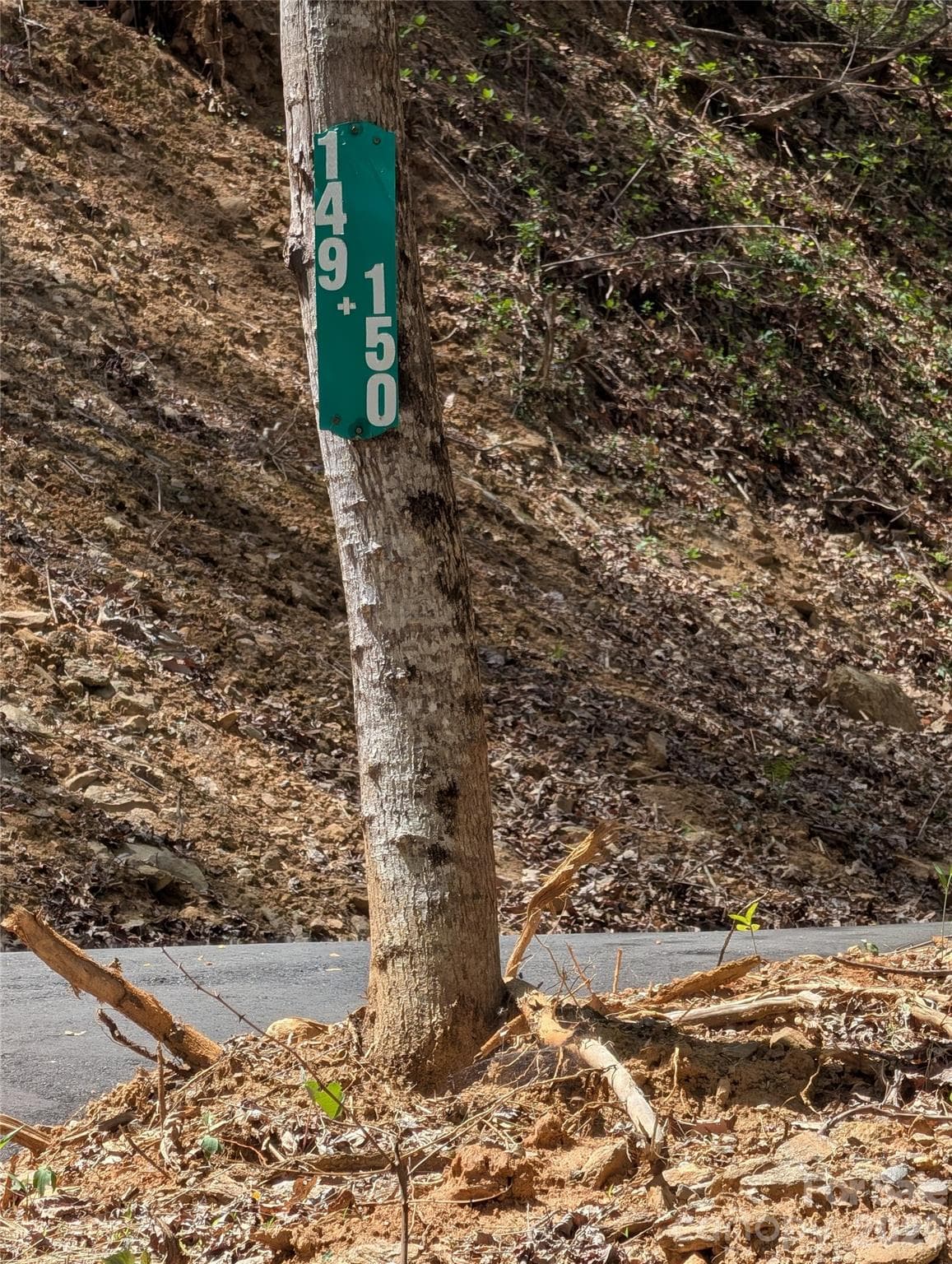 TURN RIGHT AT THIS ADDRESS SIGN. IT WILL BE ON YOUR RIGHT! - 9999 Lytle Cove Road Road, Swannanoa