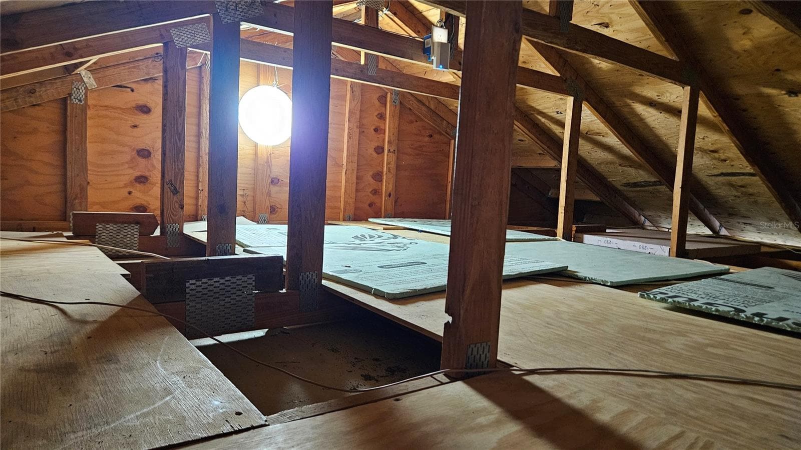 Attic - 6053 GENTLE BEN CIR, WESLEY CHAPEL