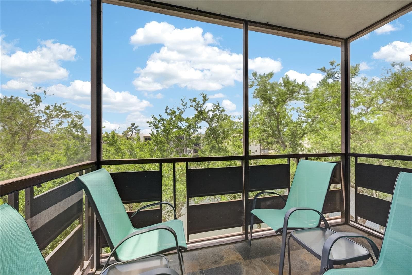 Screened Porch overlooking pond - 6080 80TH ST N #409, ST PETERSBURG
