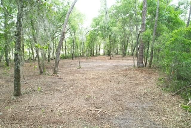 Land at LOCUST RUN CRSE, OCALA, photo 2 of 13