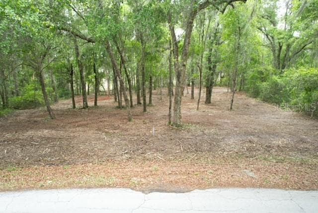 Land at LOCUST RUN CRSE, OCALA, photo 3 of 13