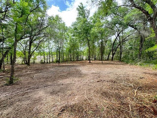 Land at LOCUST RUN CRSE, OCALA, photo 4 of 13